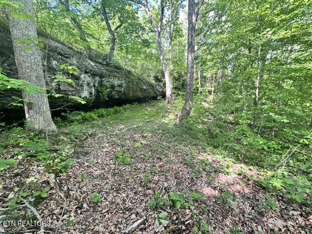 00 Bear Knob Lane Crawford TN 38554