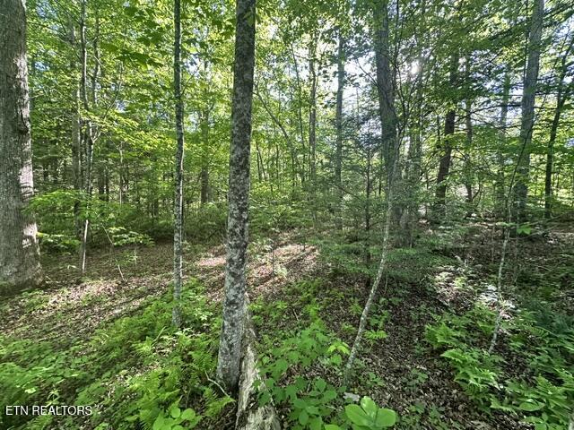00 Bear Knob Lane Crawford TN 38554