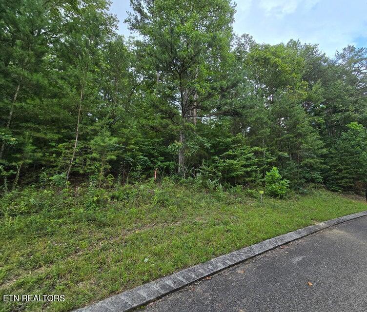 Lot 157 Lower Brow Road Dunlap TN 37327