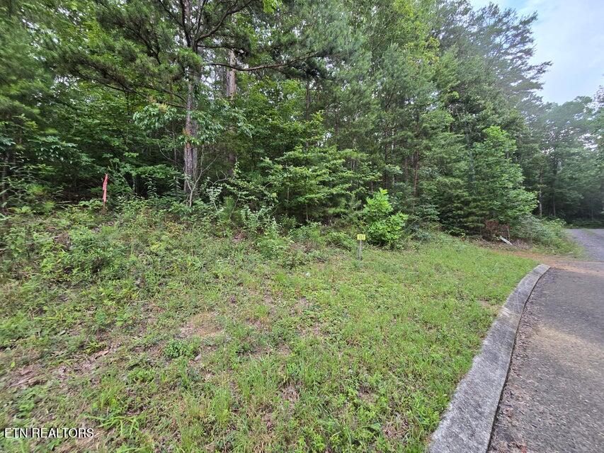 Lot 157 Lower Brow Road Dunlap TN 37327