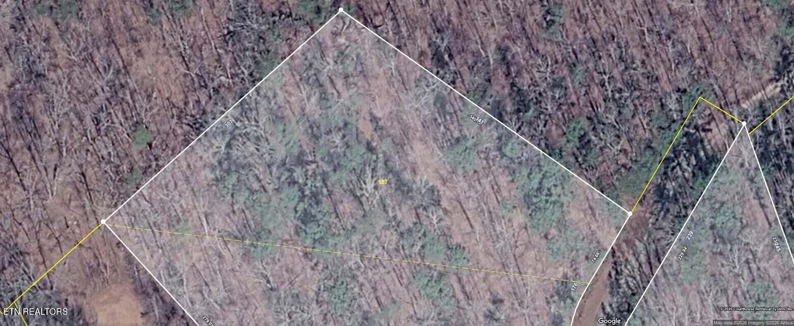 Lot 157 Lower Brow Road Dunlap TN 37327