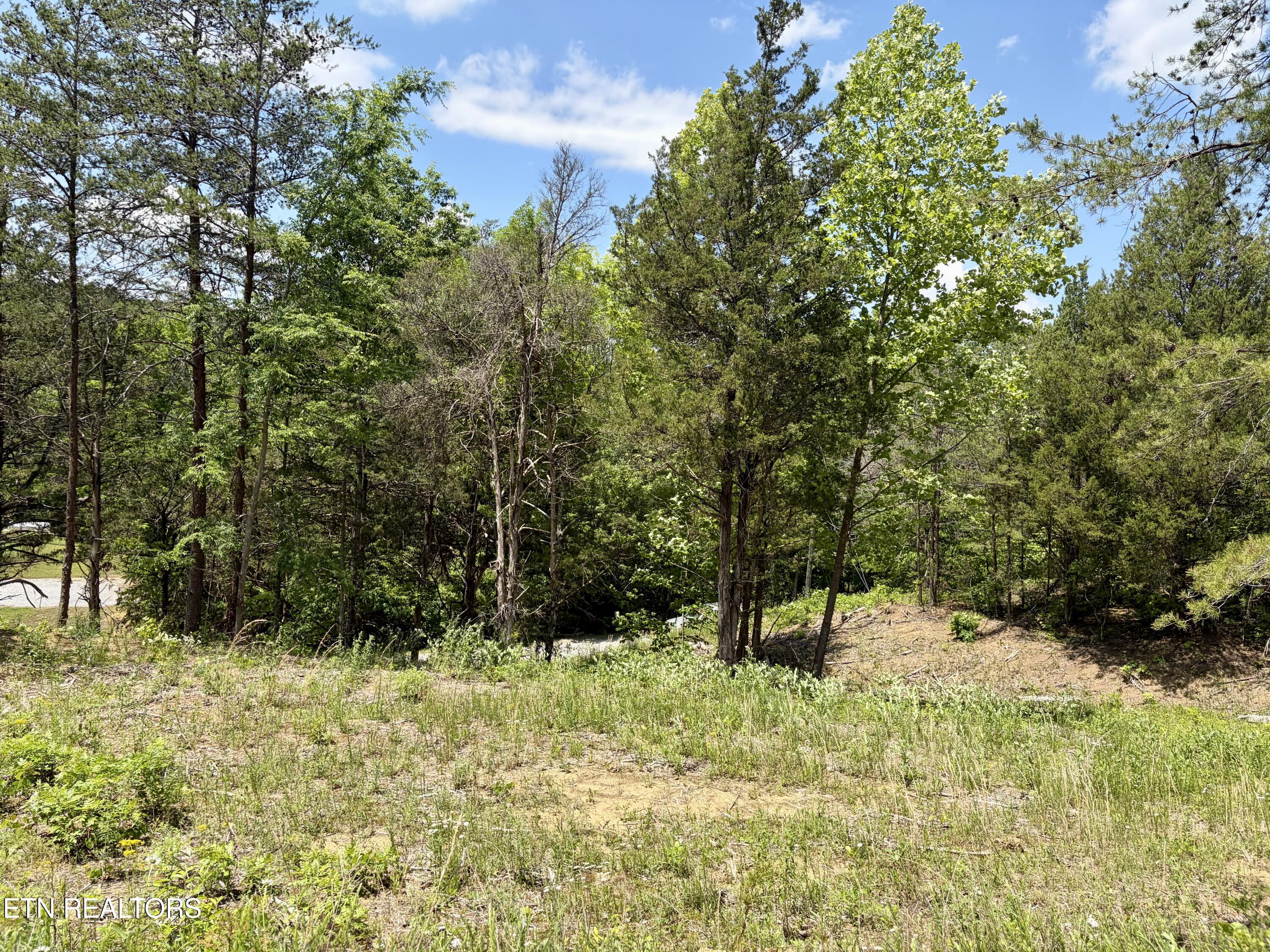 Burchfiel Way Sevierville TN 37876