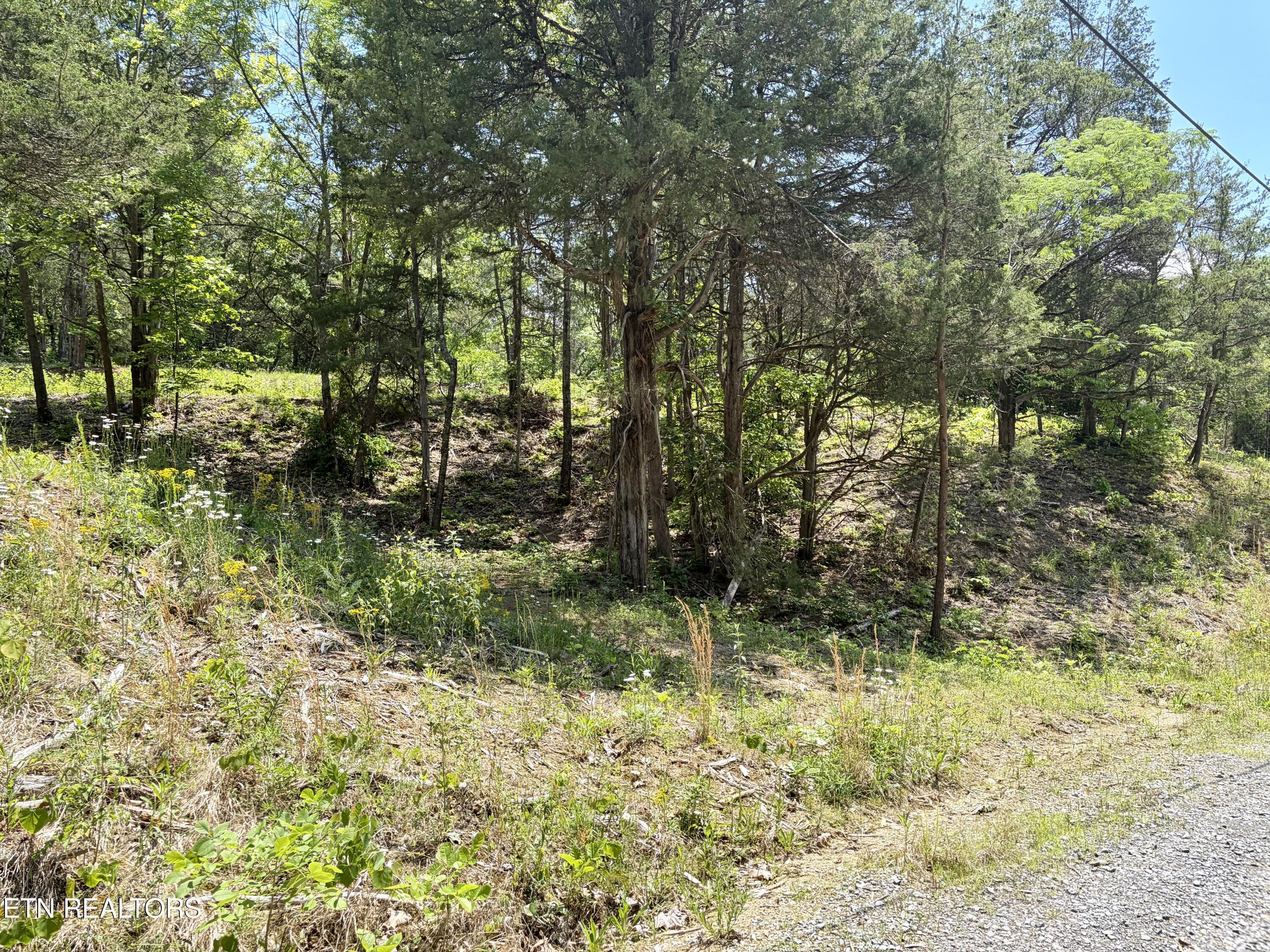 Burchfiel Way Sevierville TN 37876