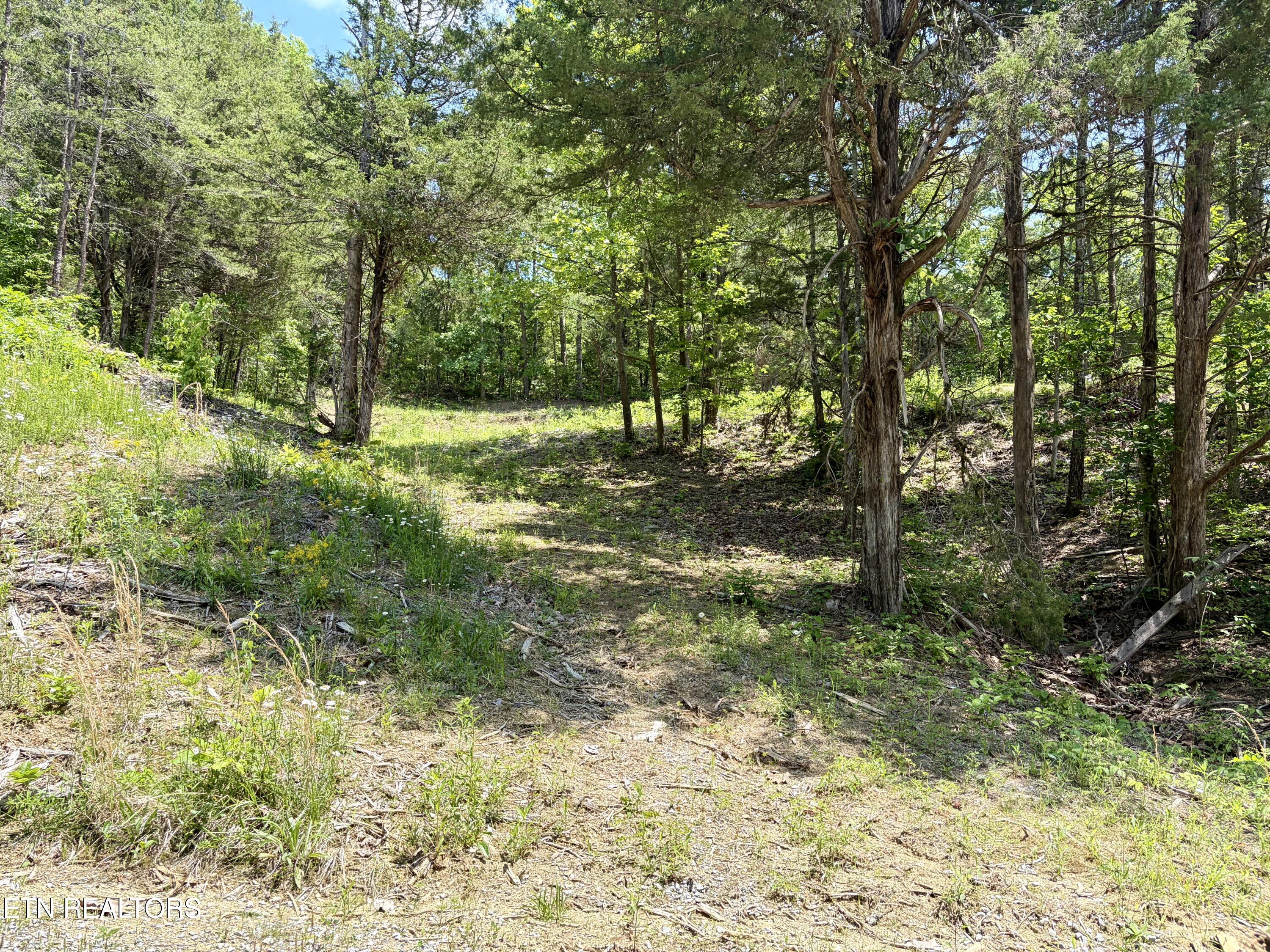 Burchfiel Way Sevierville TN 37876