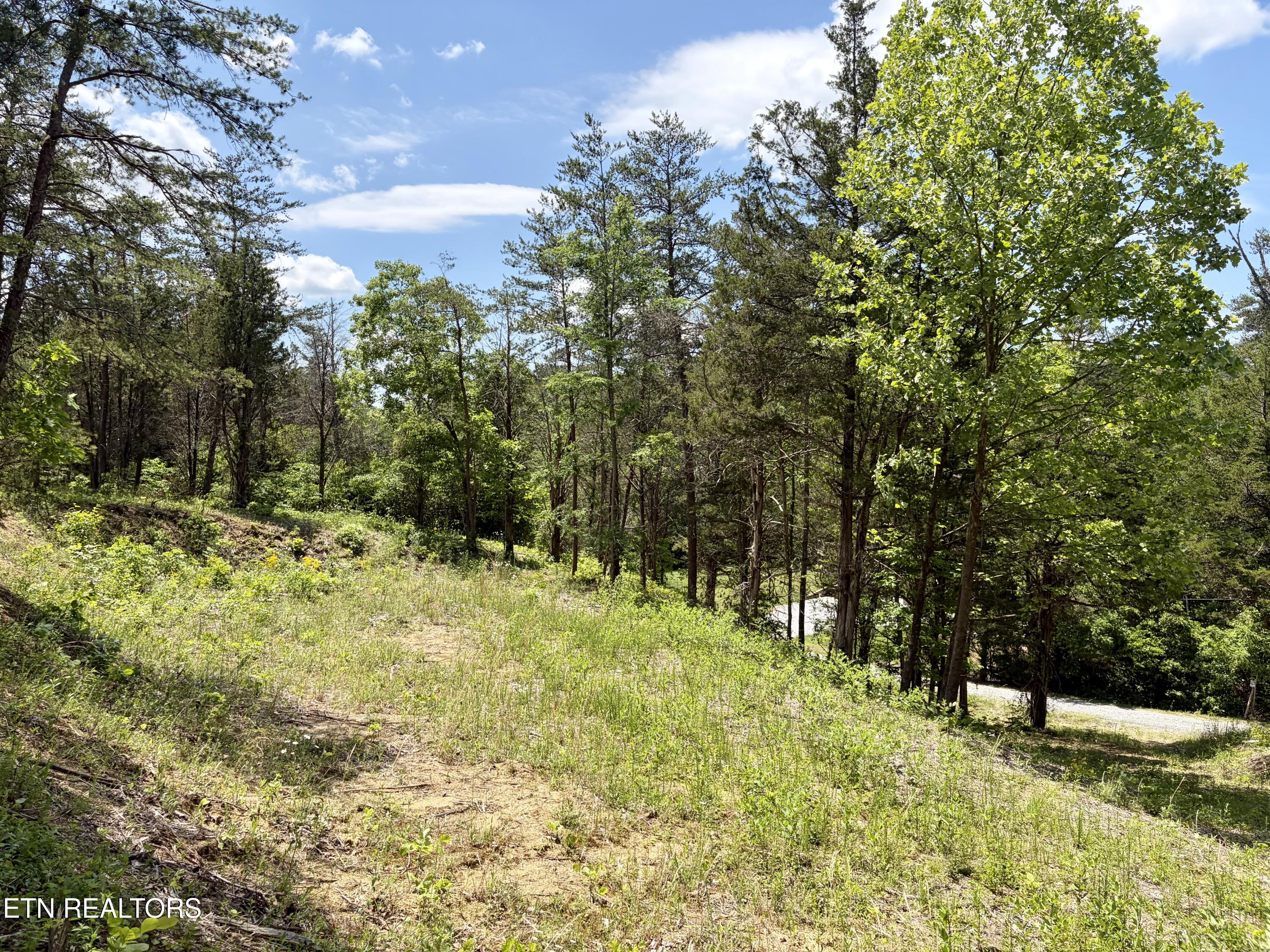 Burchfiel Way Sevierville TN 37876