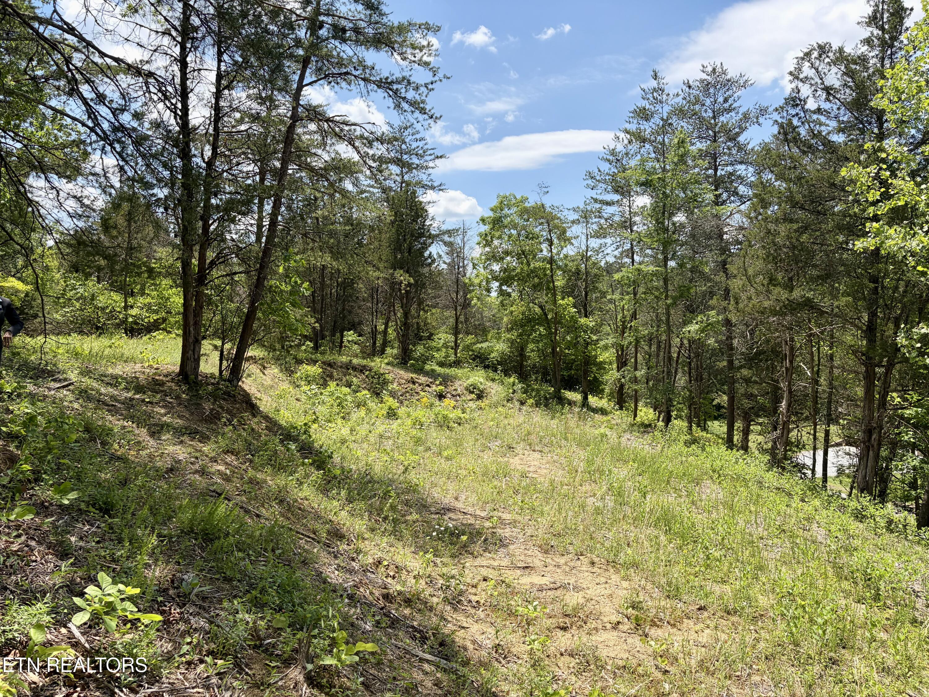Burchfiel Way Sevierville TN 37876