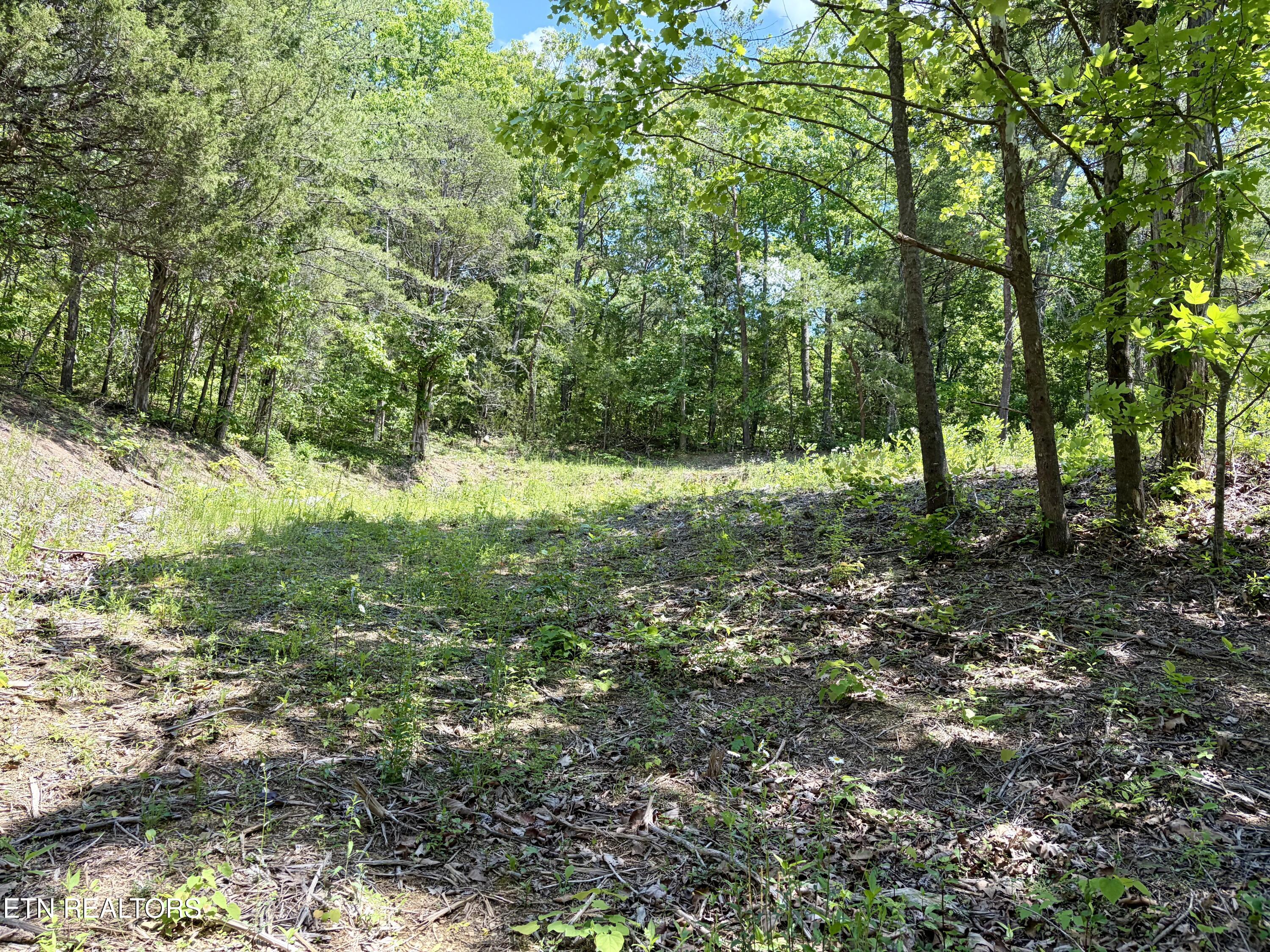 Burchfiel Way Sevierville TN 37876