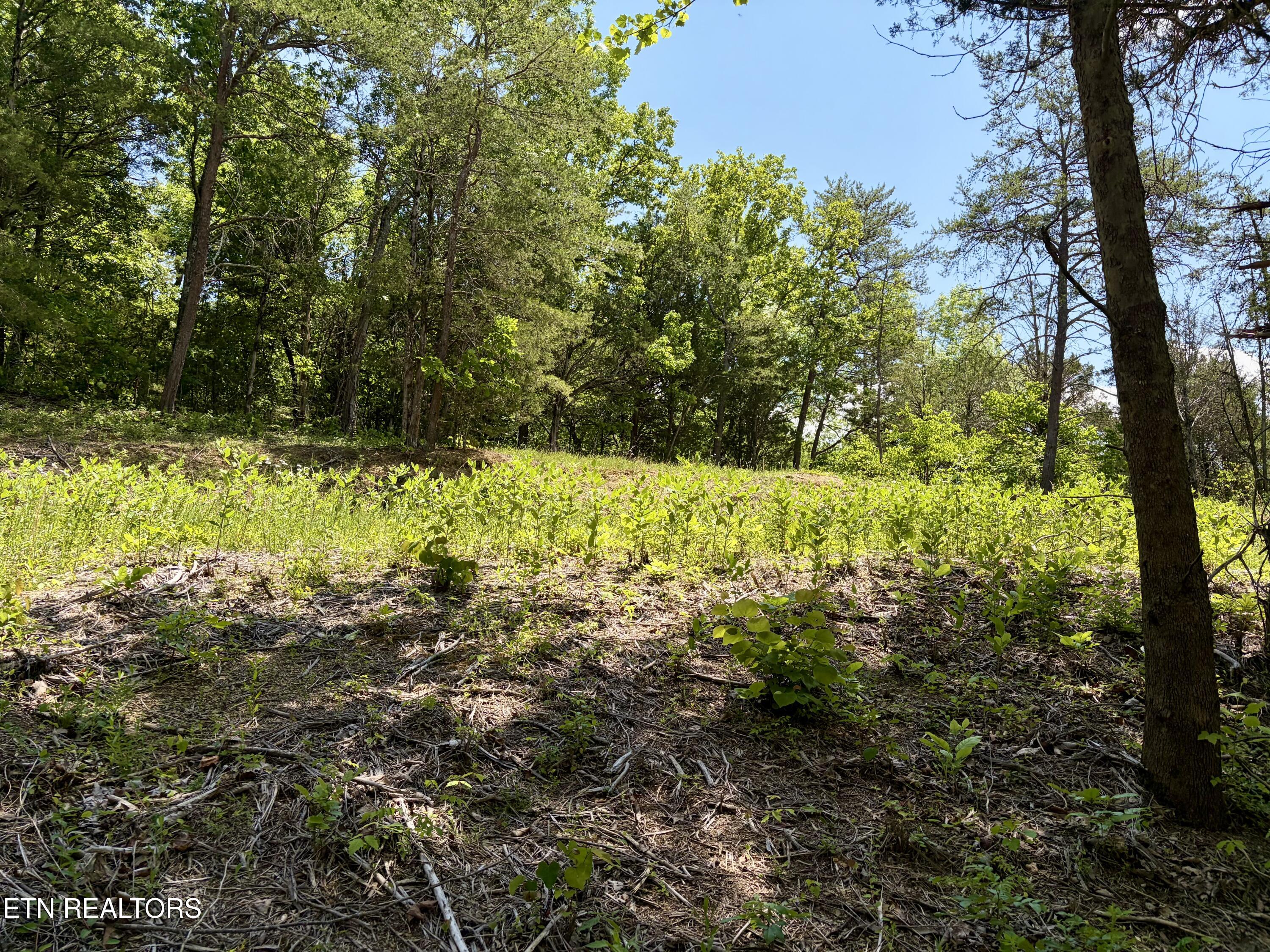 Burchfiel Way Sevierville TN 37876