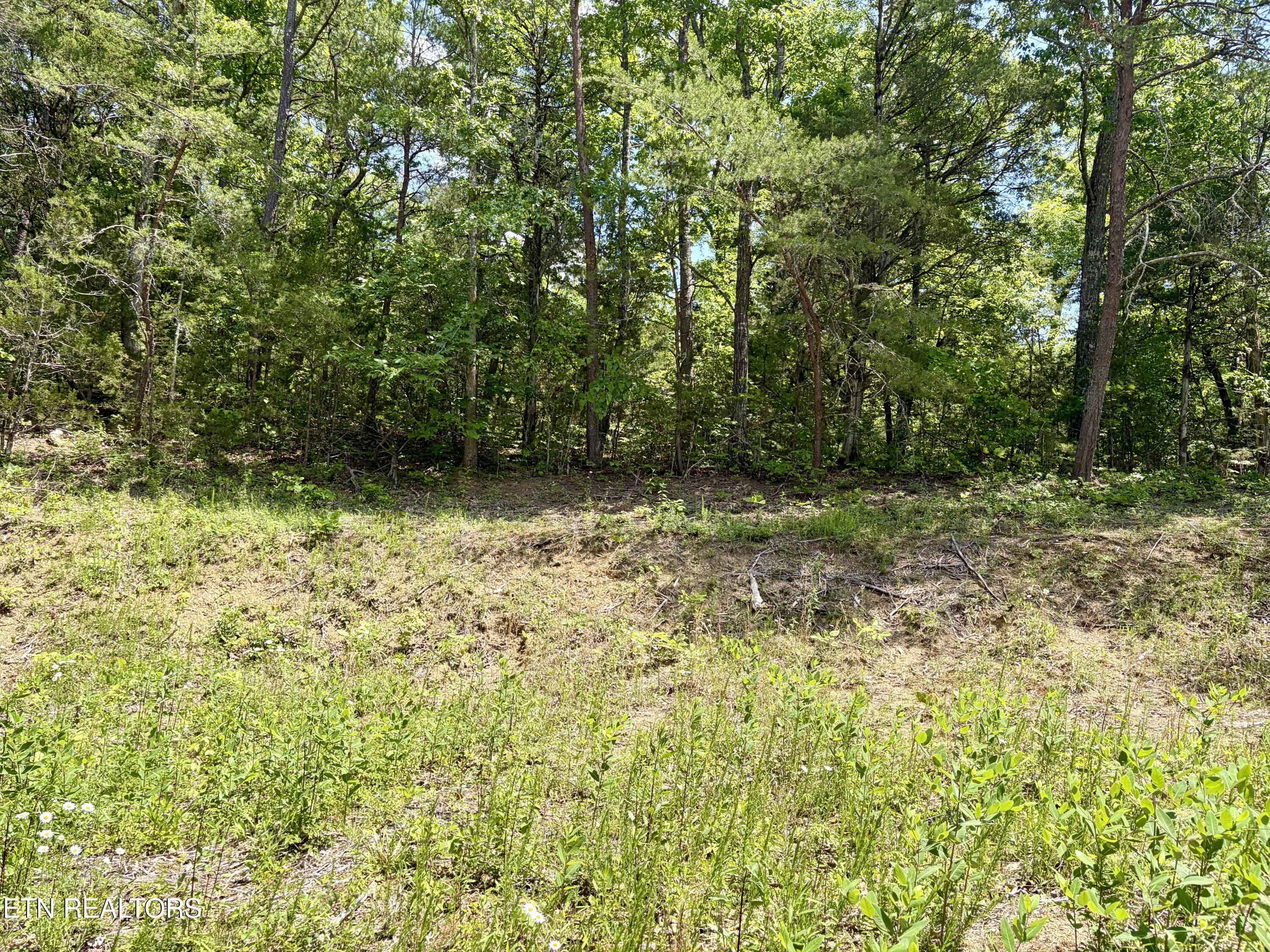Burchfiel Way Sevierville TN 37876