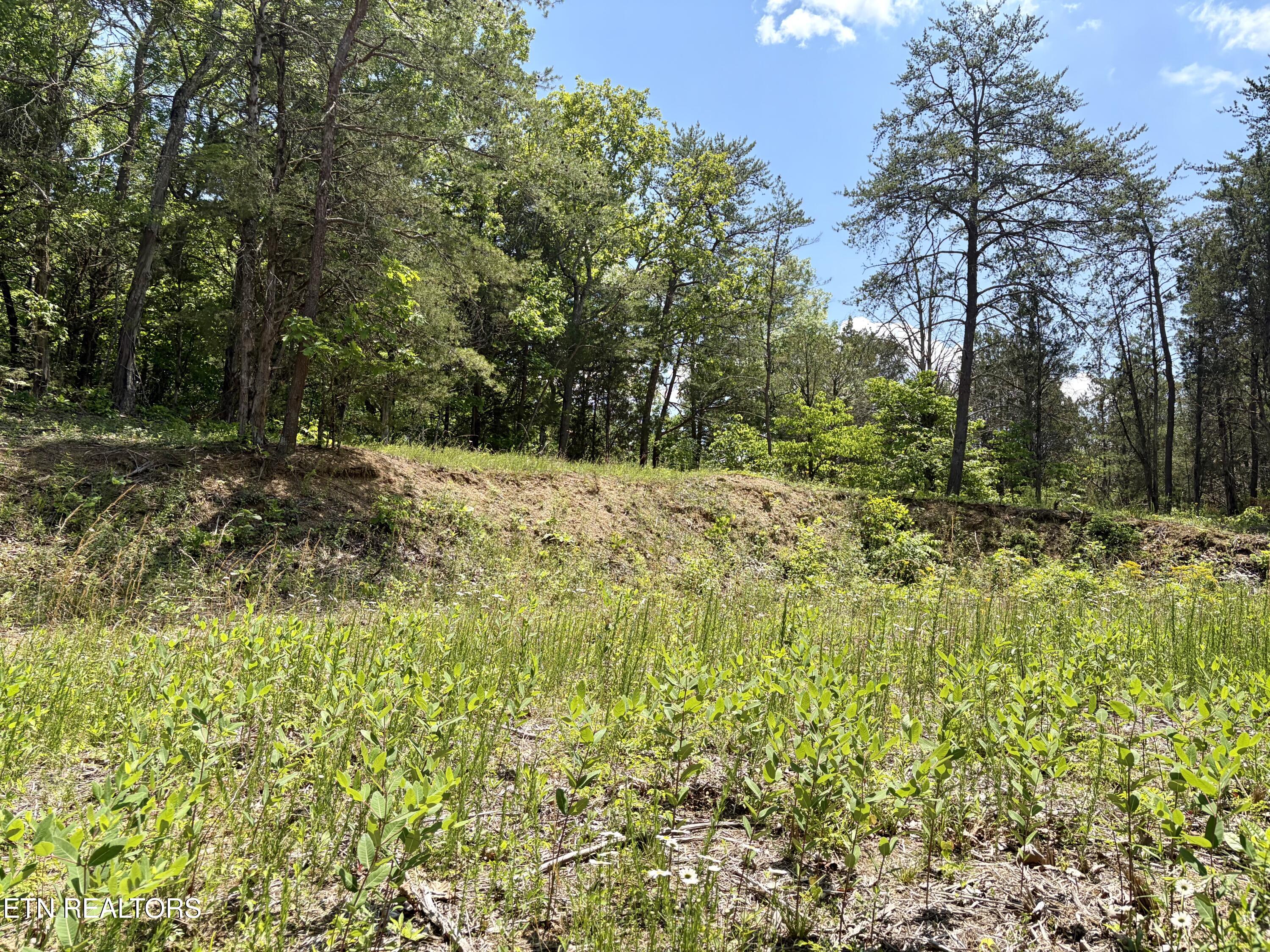 Burchfiel Way Sevierville TN 37876