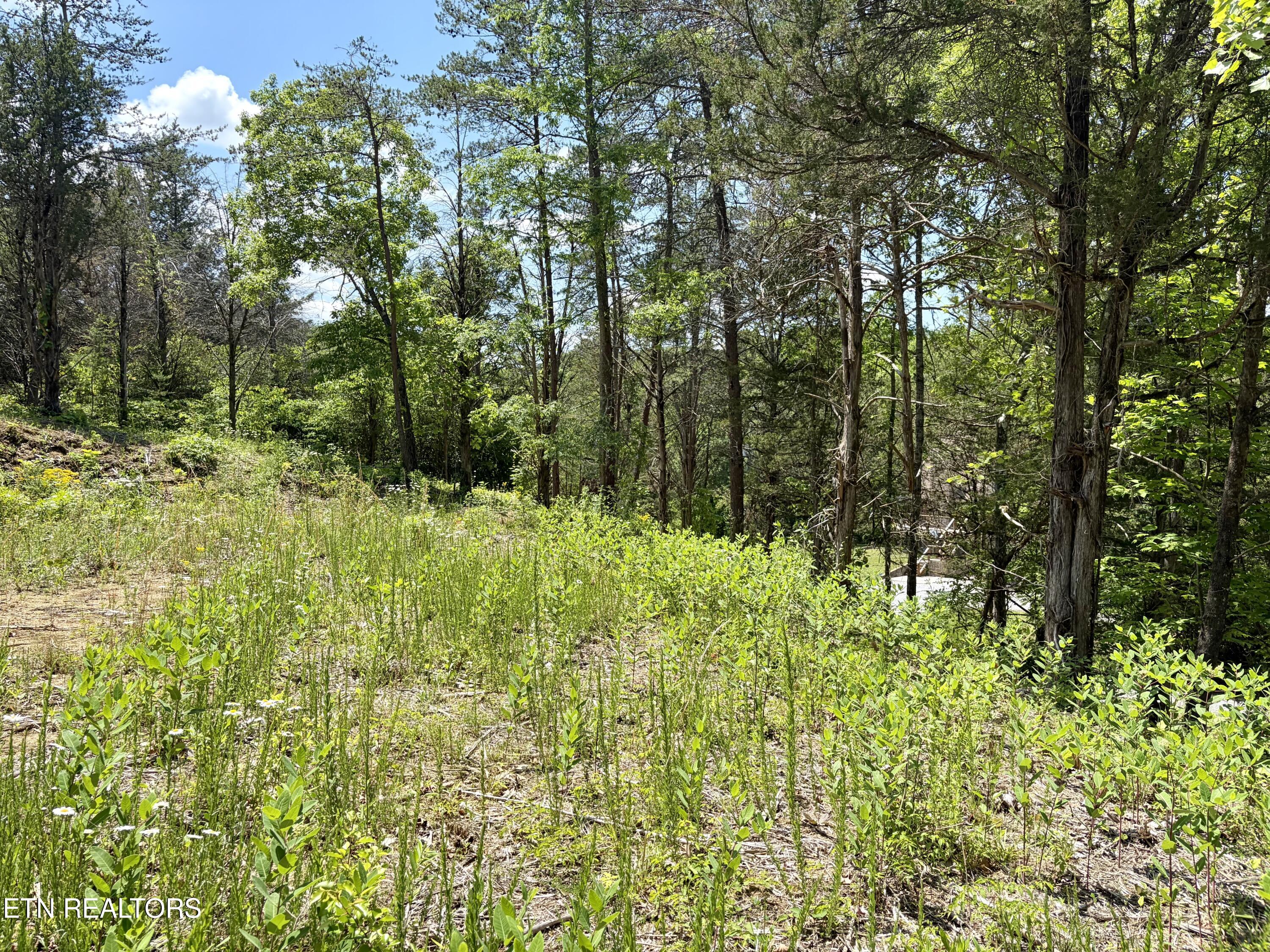 Burchfiel Way Sevierville TN 37876