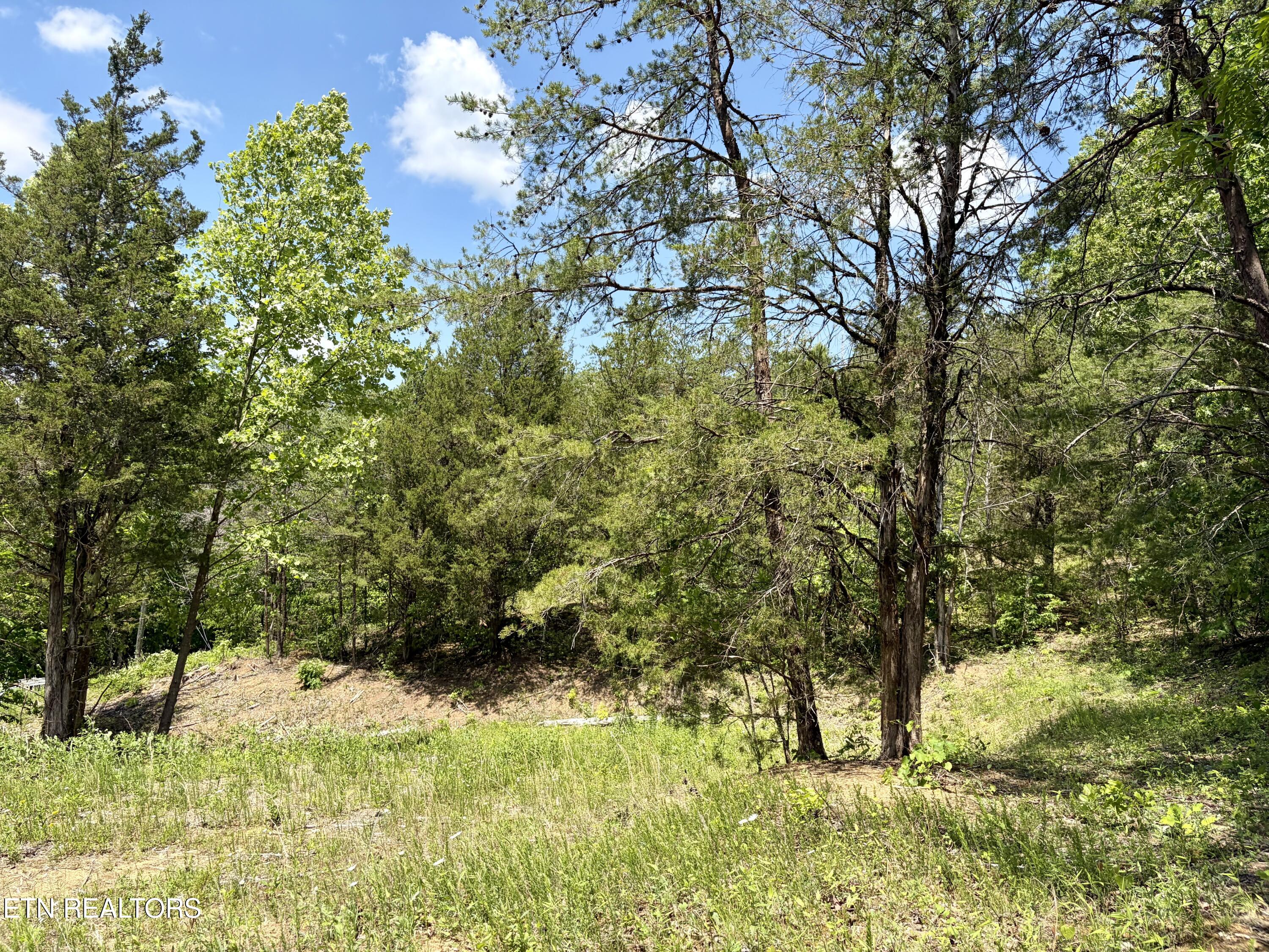 Burchfiel Way Sevierville TN 37876