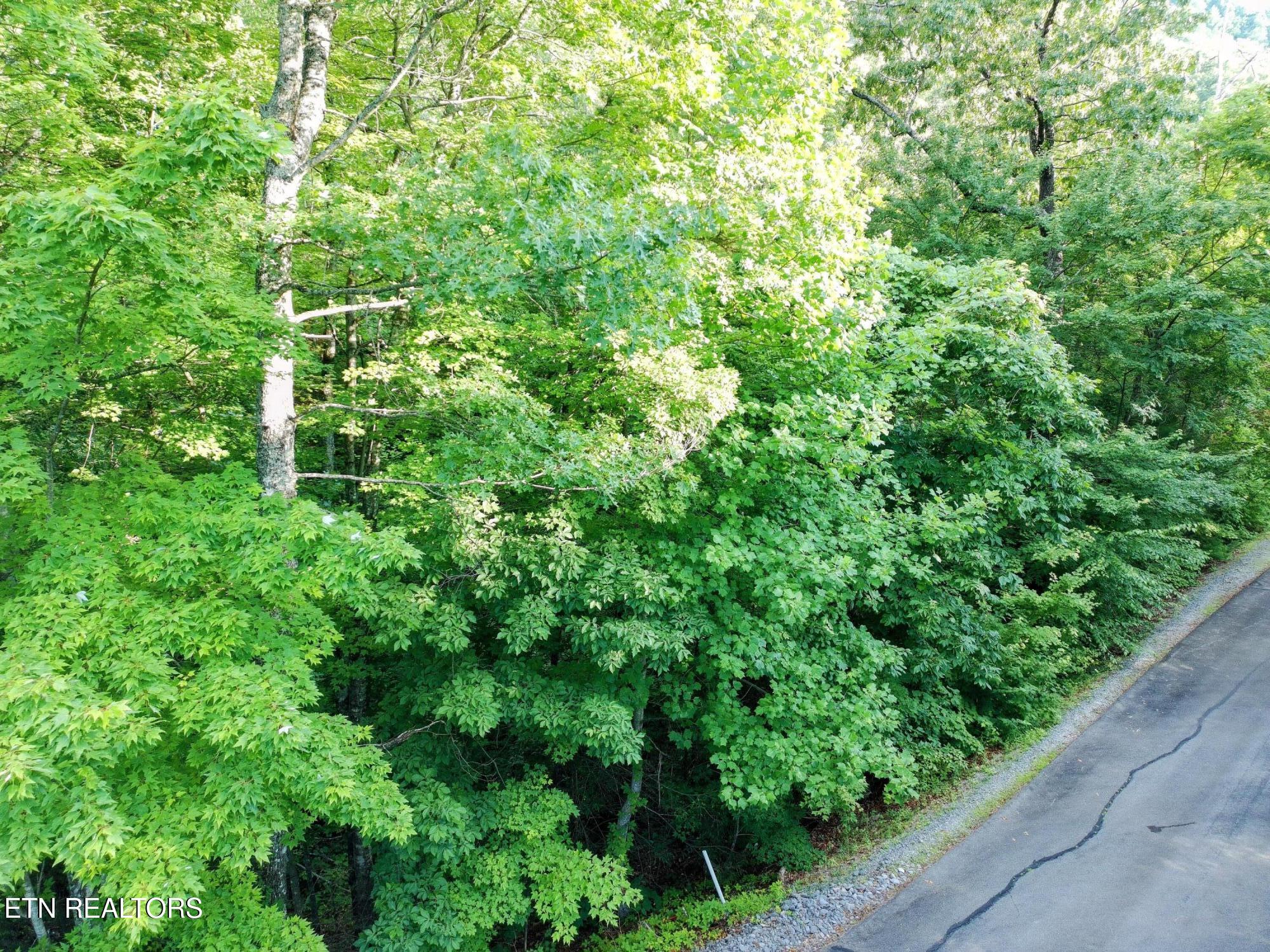 Buck Board Lane Sevierville TN 37862