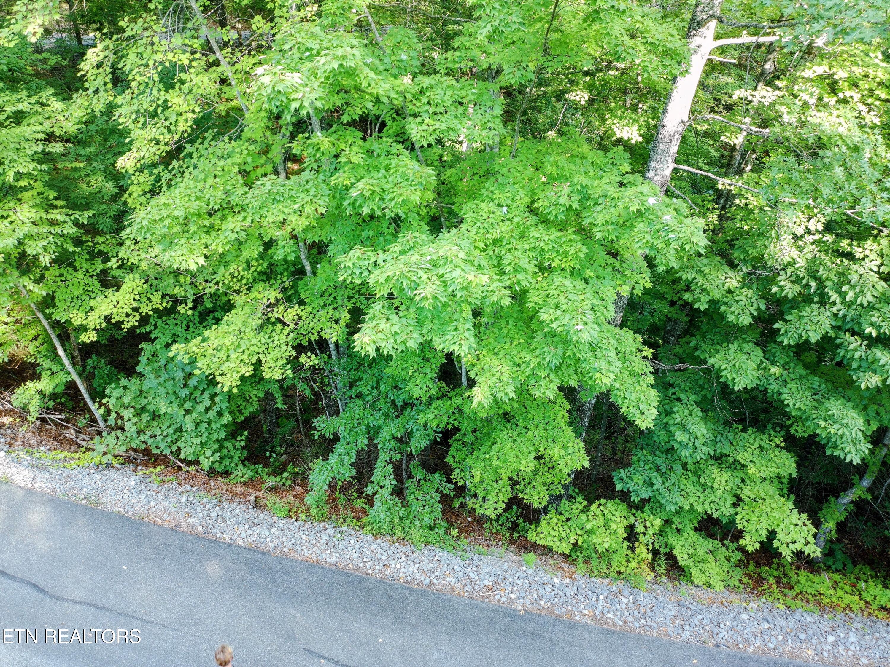 Buck Board Lane Sevierville TN 37862