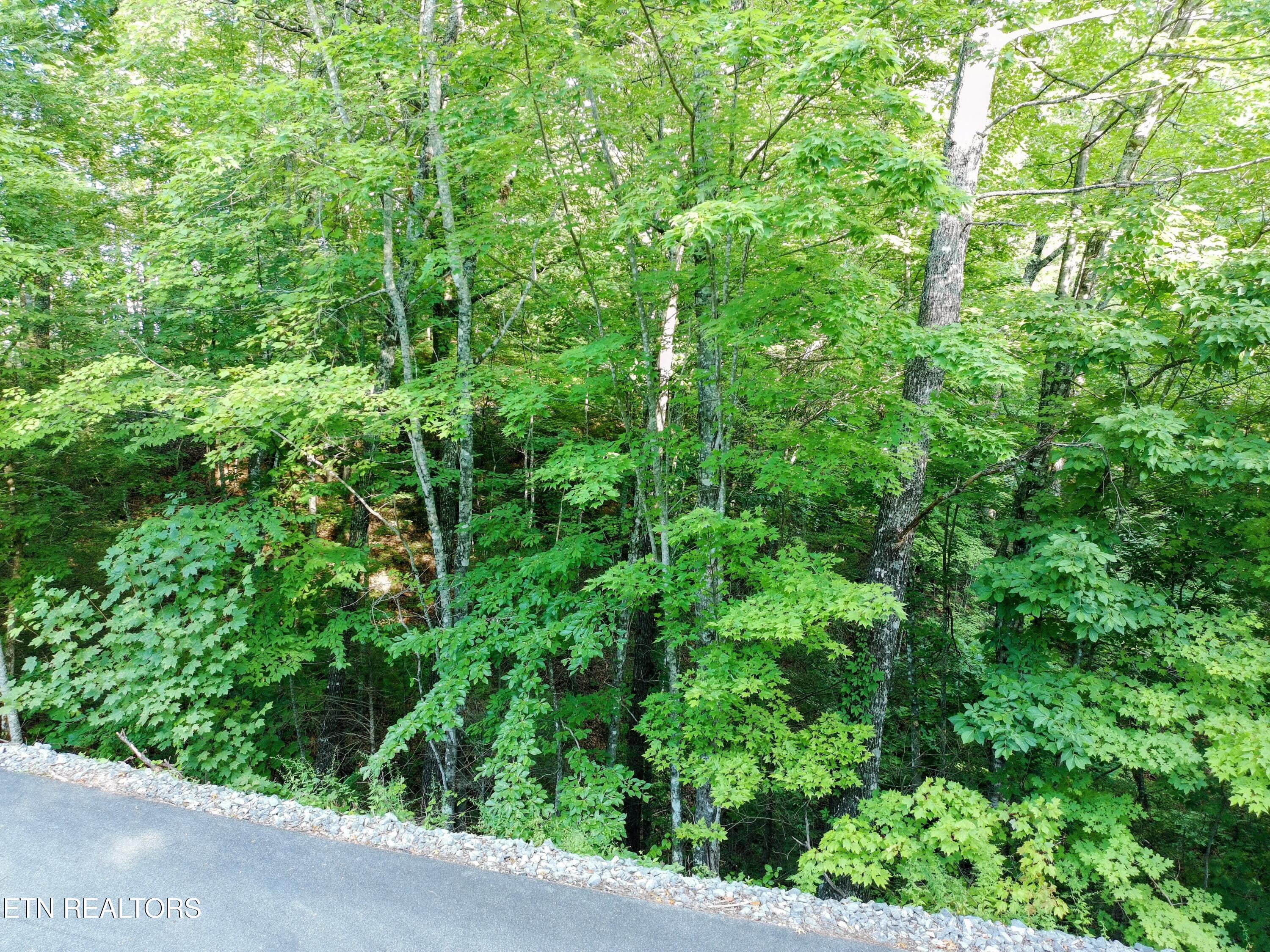 Buck Board Lane Sevierville TN 37862