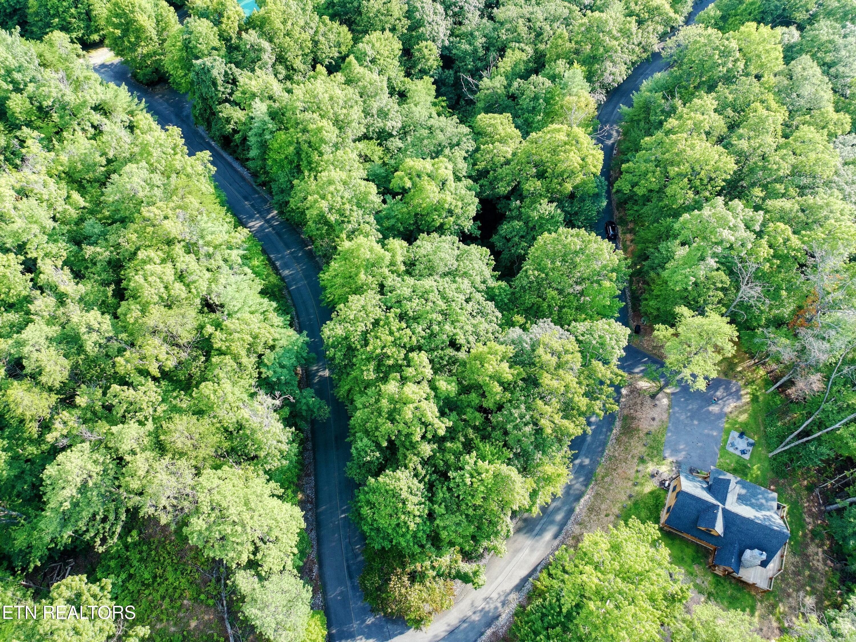 Buck Board Lane Sevierville TN 37862