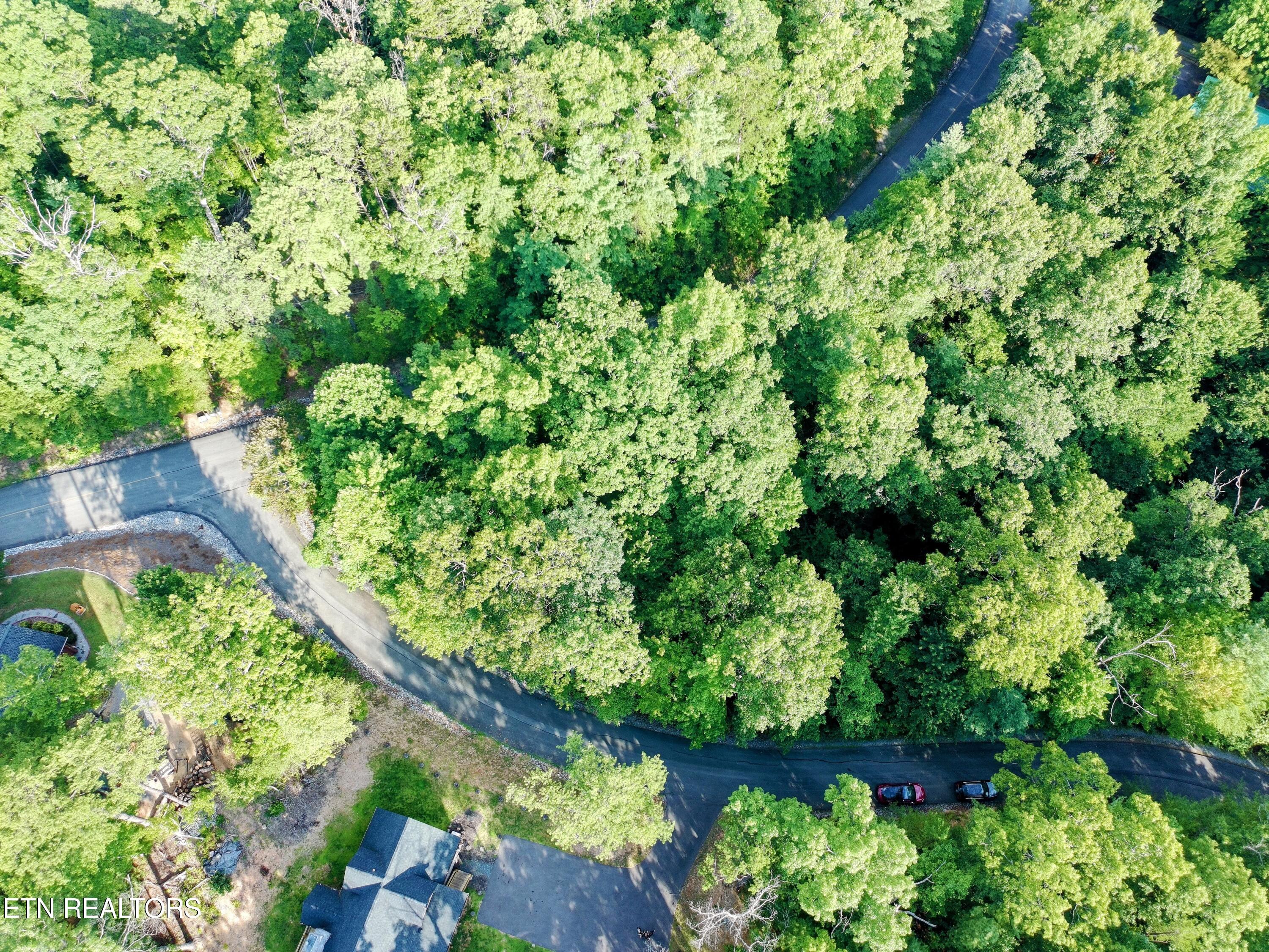 Buck Board Lane Sevierville TN 37862