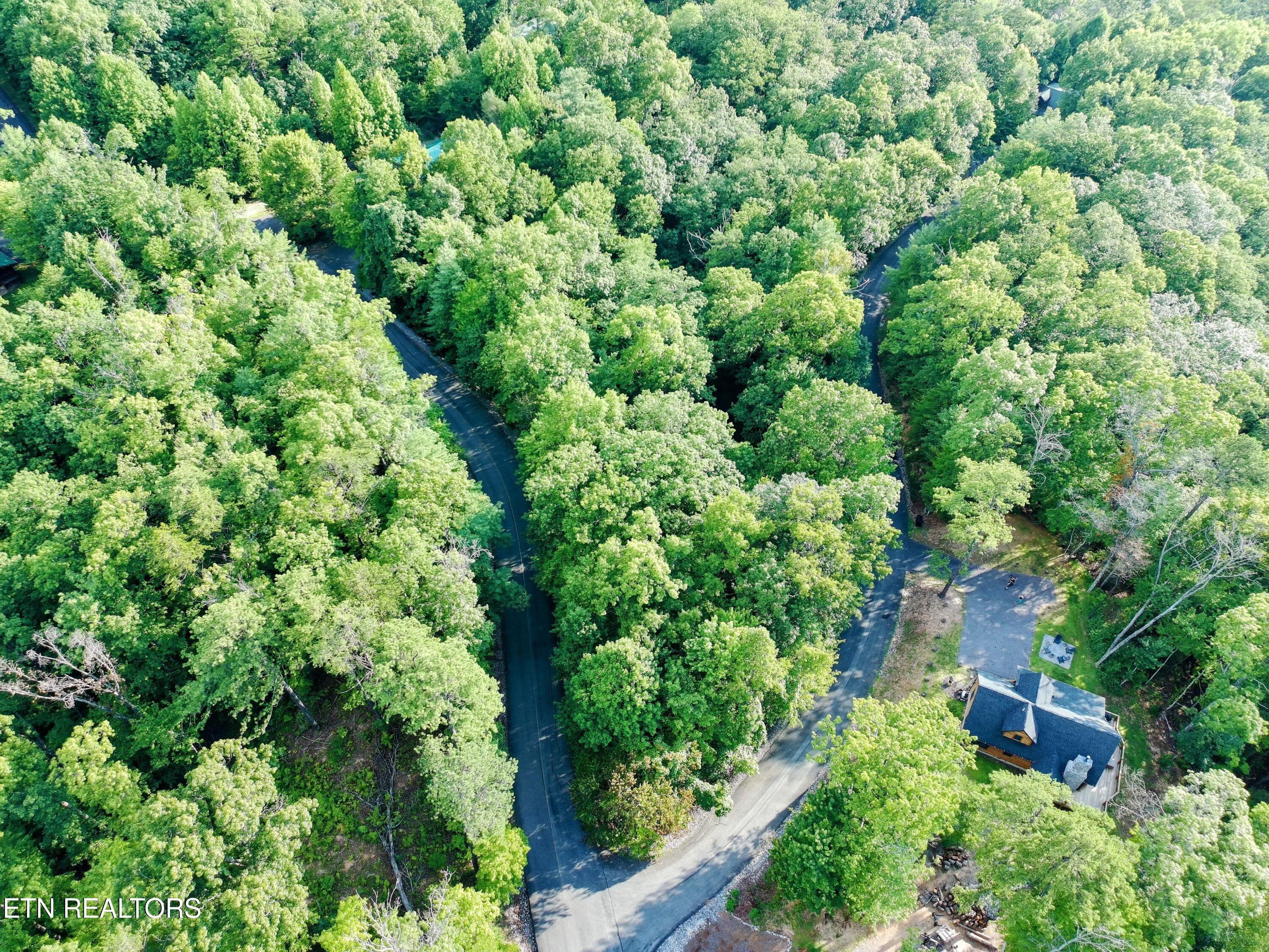 Buck Board Lane Sevierville TN 37862
