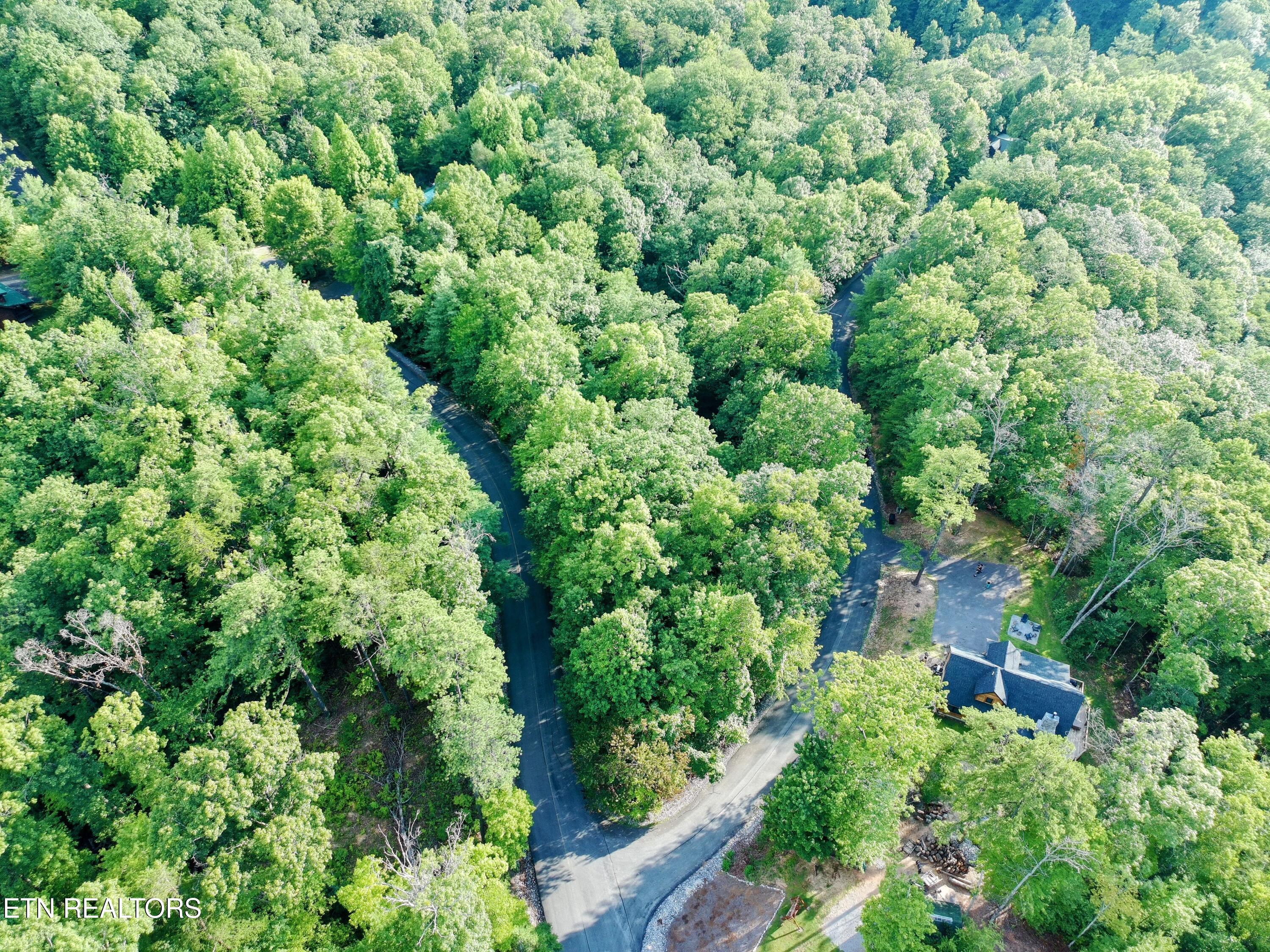 Buck Board Lane Sevierville TN 37862