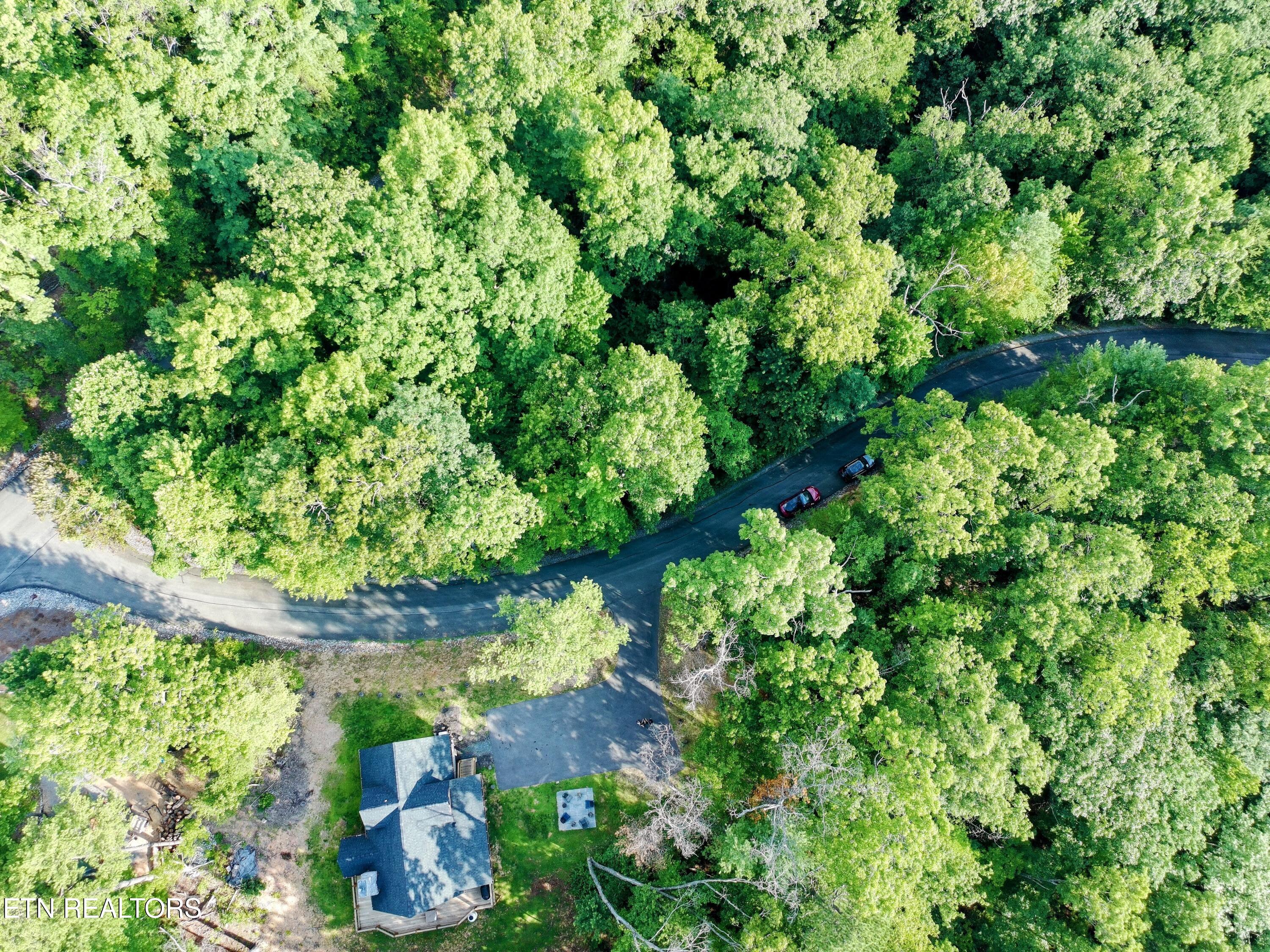 Buck Board Lane Sevierville TN 37862