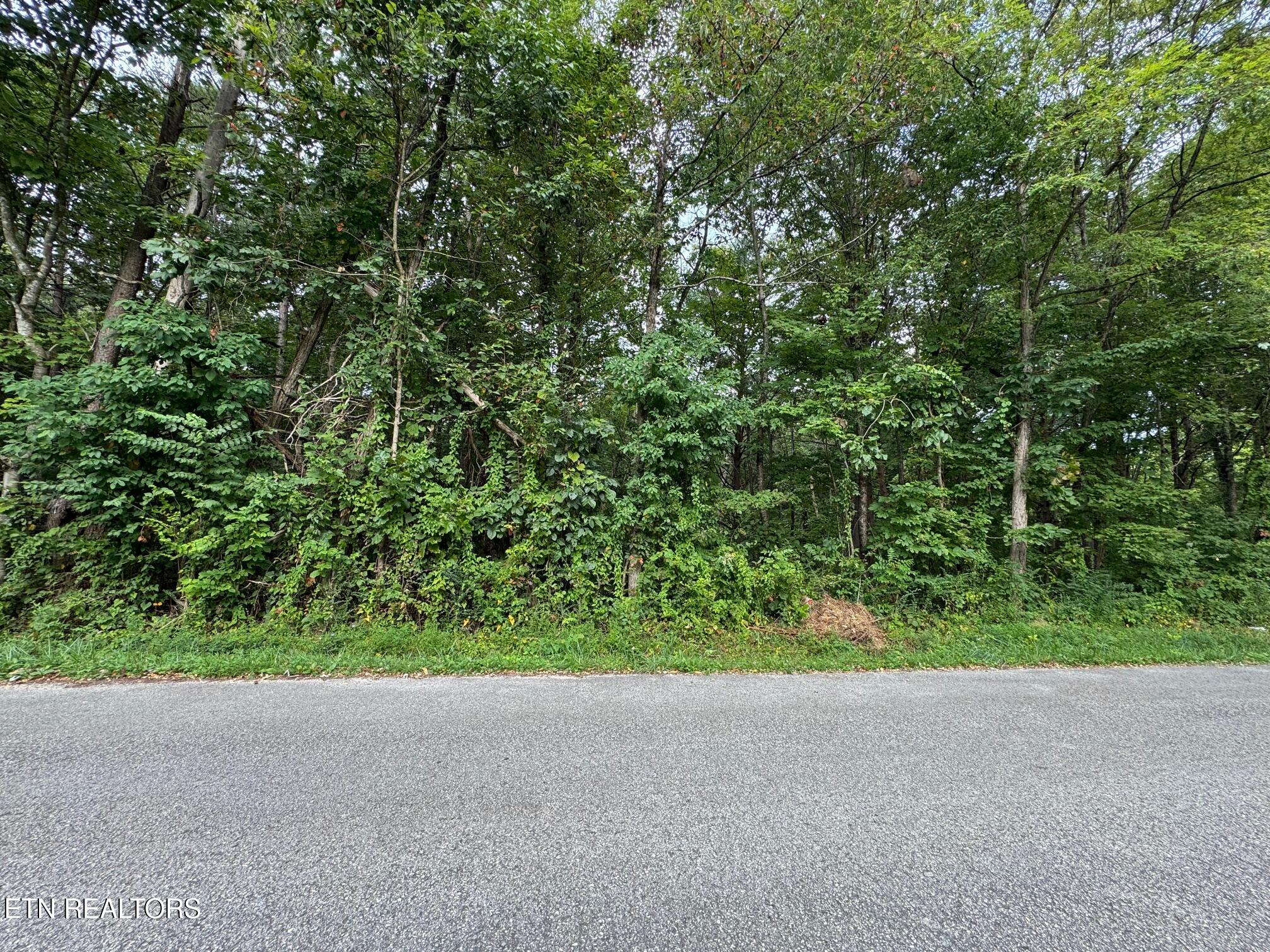 Old Wolf River Road Jamestown TN 38556