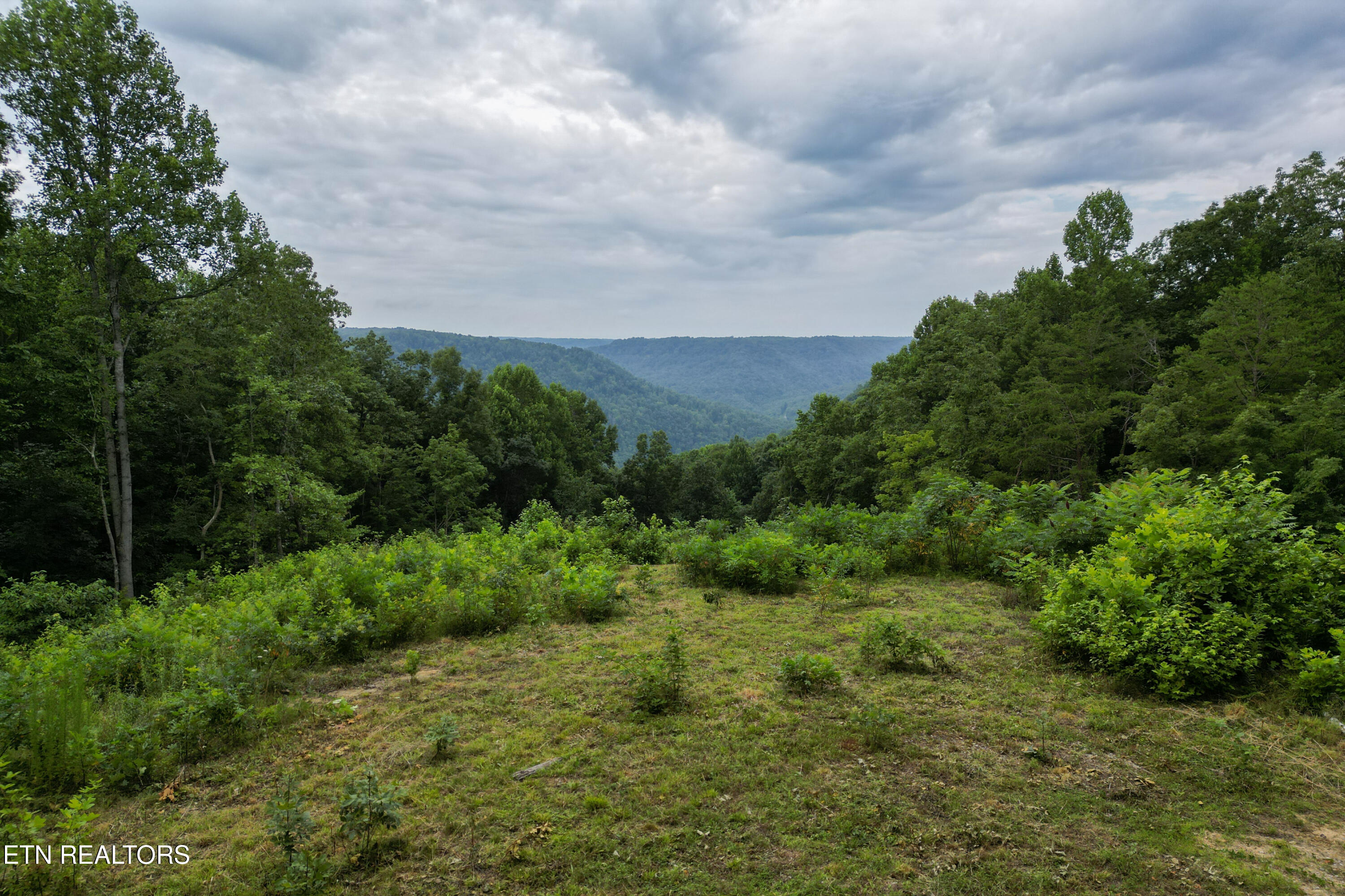 722 Flat Top View Lane Wilder TN 38589