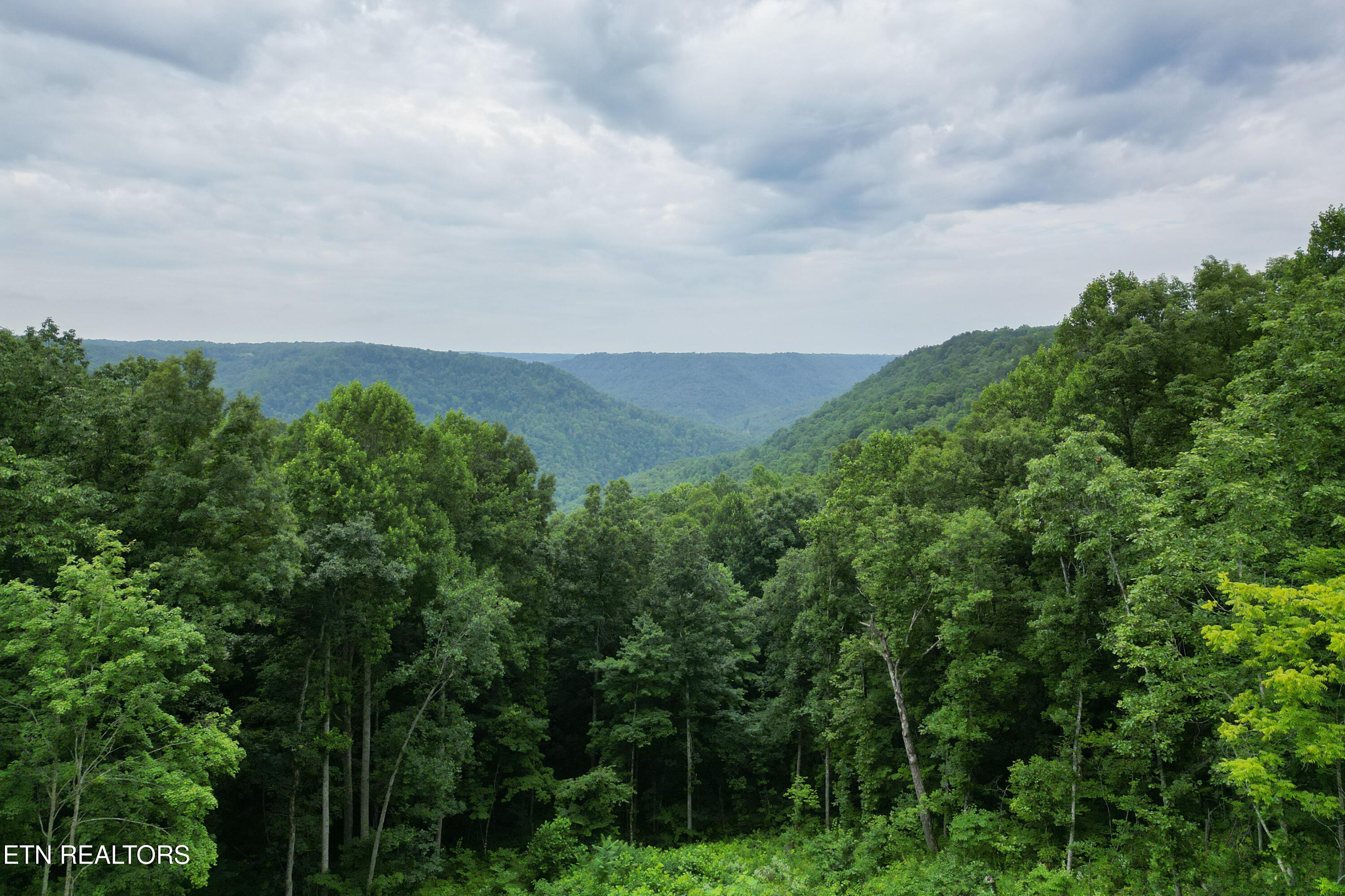 722 Flat Top View Lane Wilder TN 38589