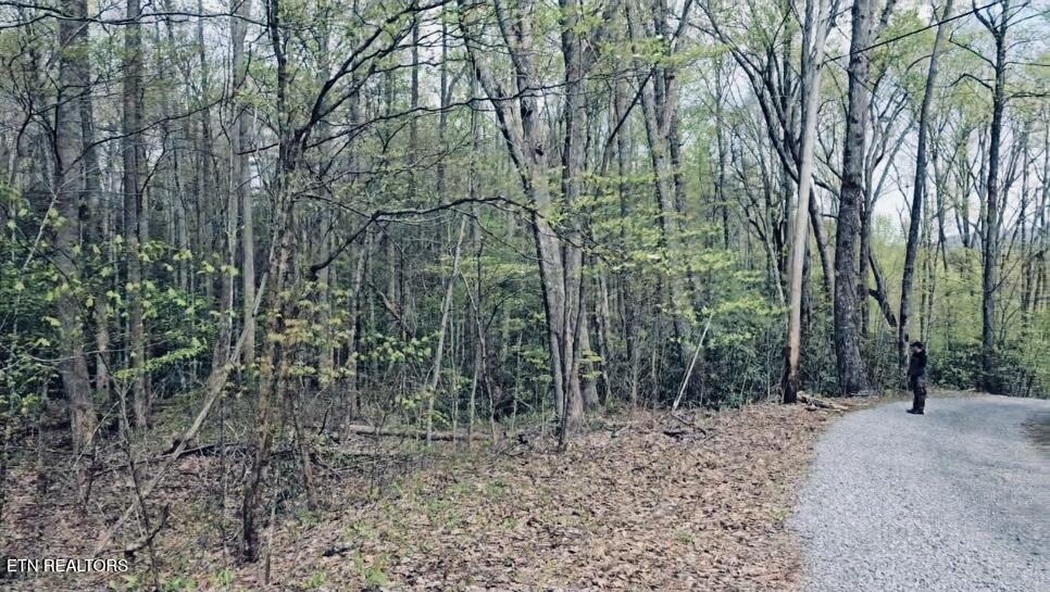 4046 Forest Trail Drive Sevierville TN 37876