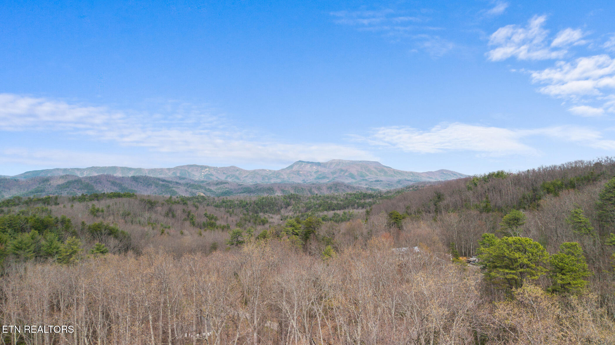 4046 Forest Trail Drive Sevierville TN 37876