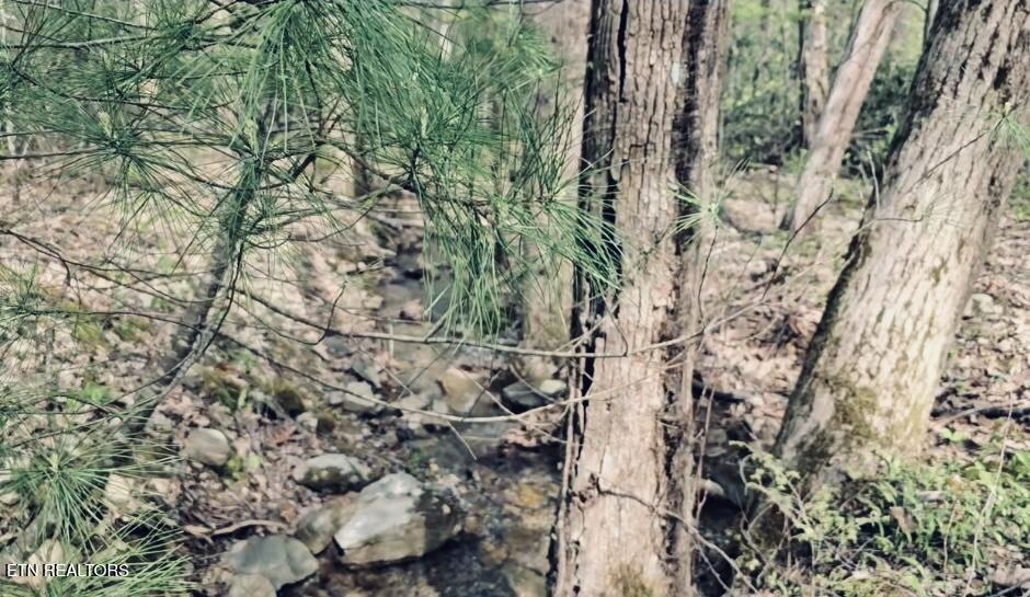 4046 Forest Trail Drive Sevierville TN 37876