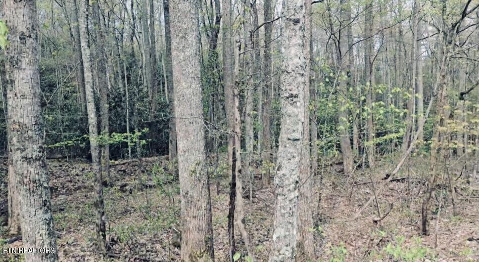 4046 Forest Trail Drive Sevierville TN 37876