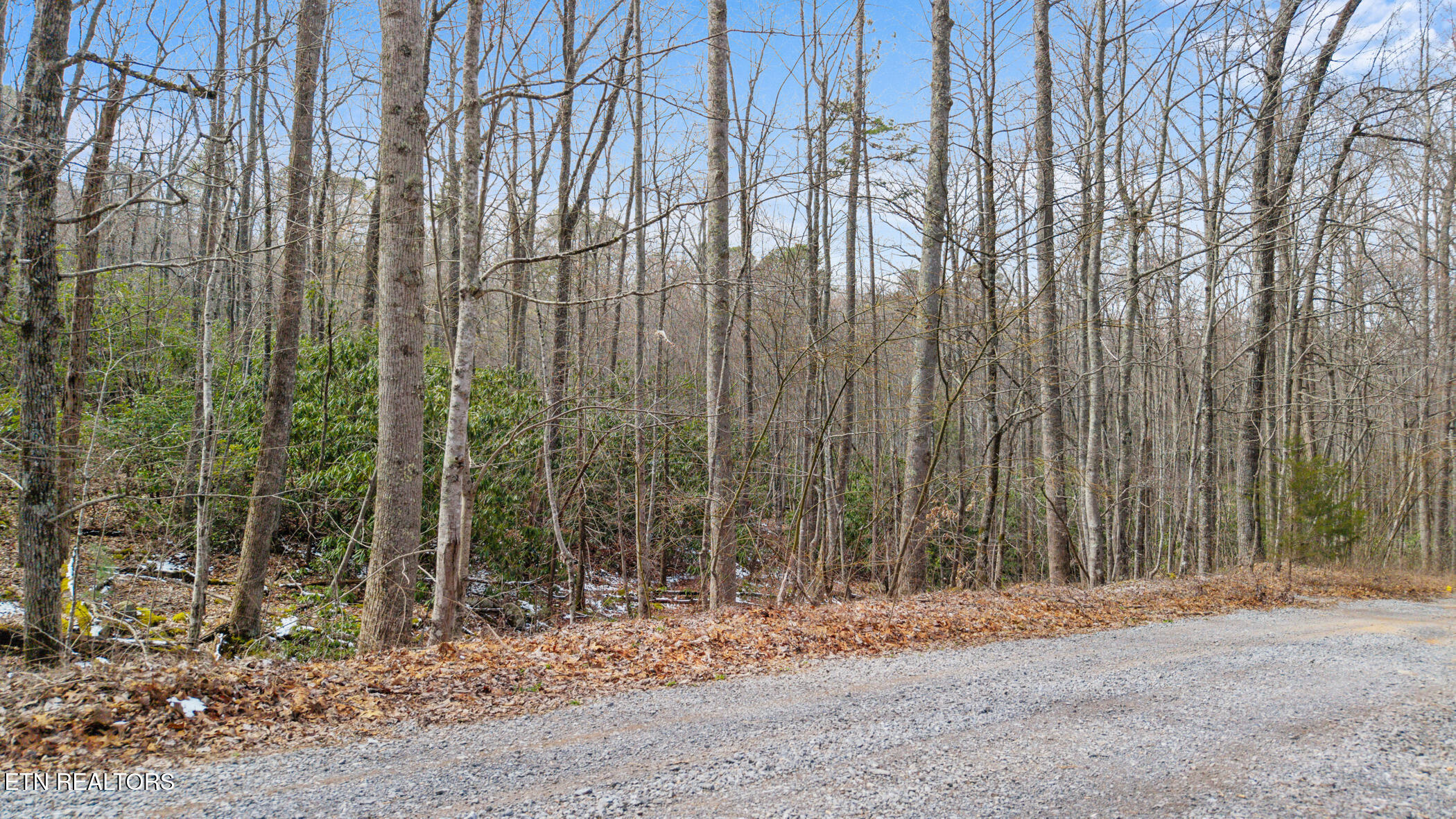 4046 Forest Trail Drive Sevierville TN 37876