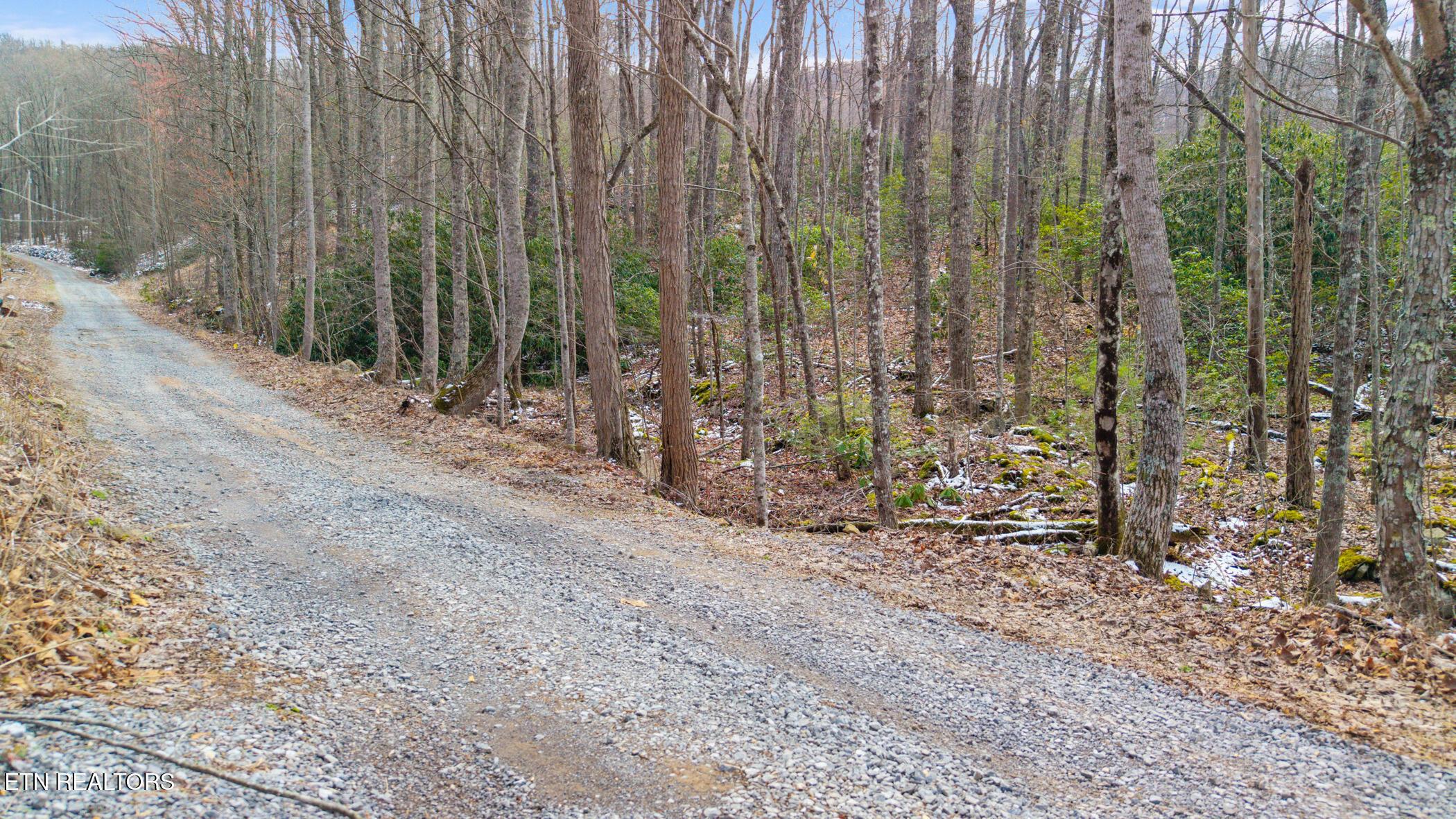 4046 Forest Trail Drive Sevierville TN 37876