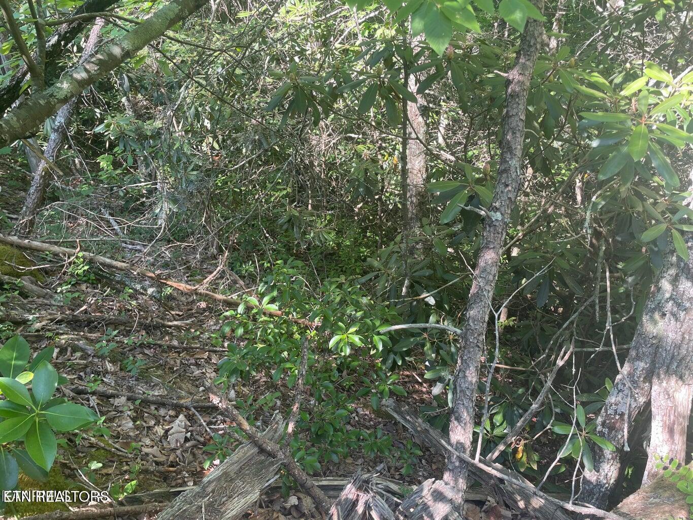 Lot 68 Sycamore Street Sevierville TN 37876