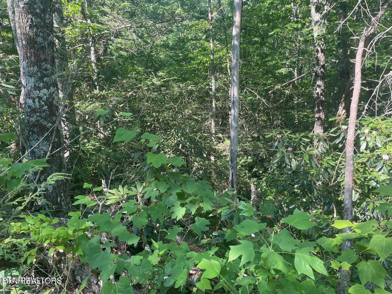 Lot 68 Sycamore Street Sevierville TN 37876