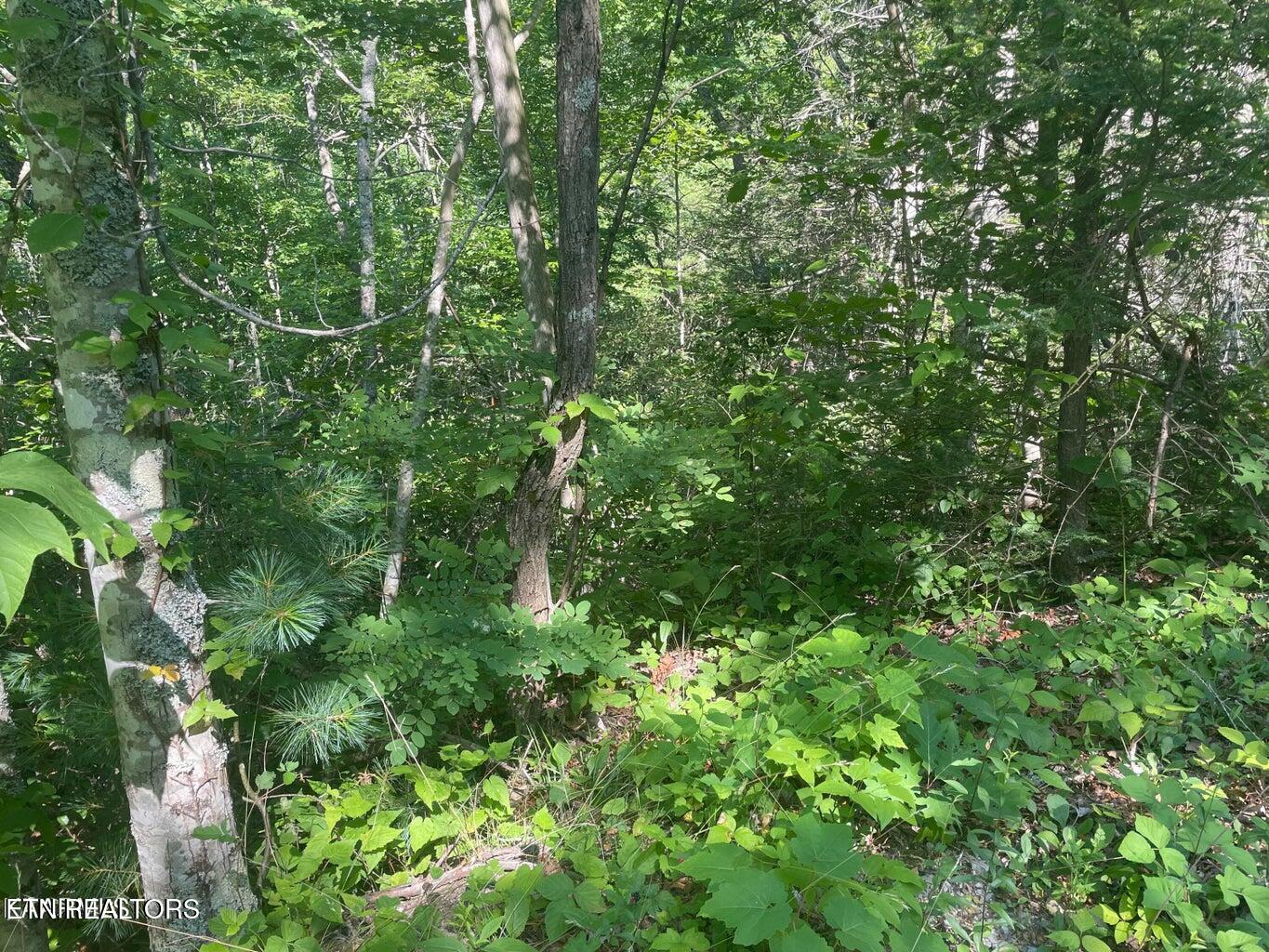 Lot 68 Sycamore Street Sevierville TN 37876