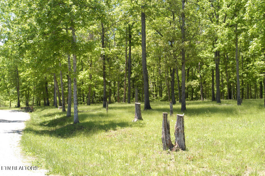 6 War Eagle Circle Crossville TN 38572