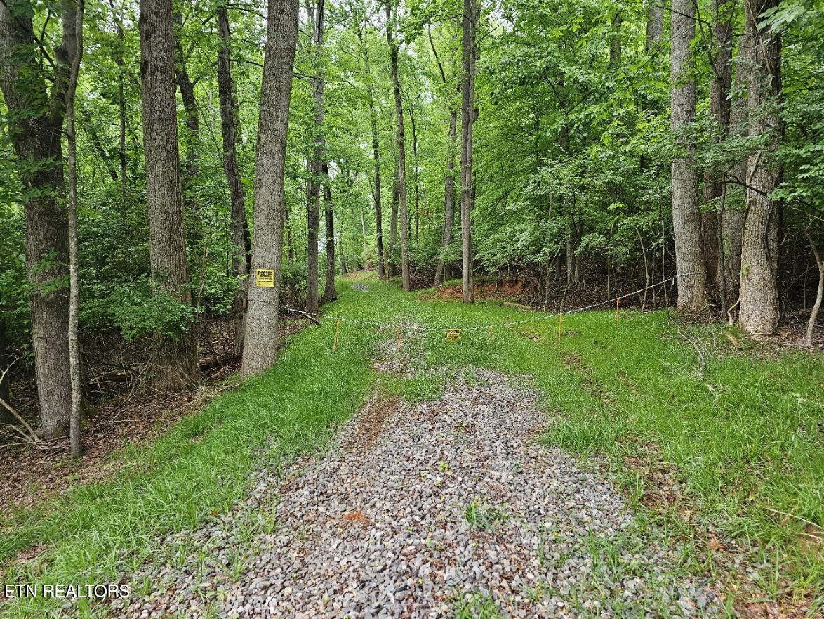 2050 Jones Bend Road Louisville TN 37777