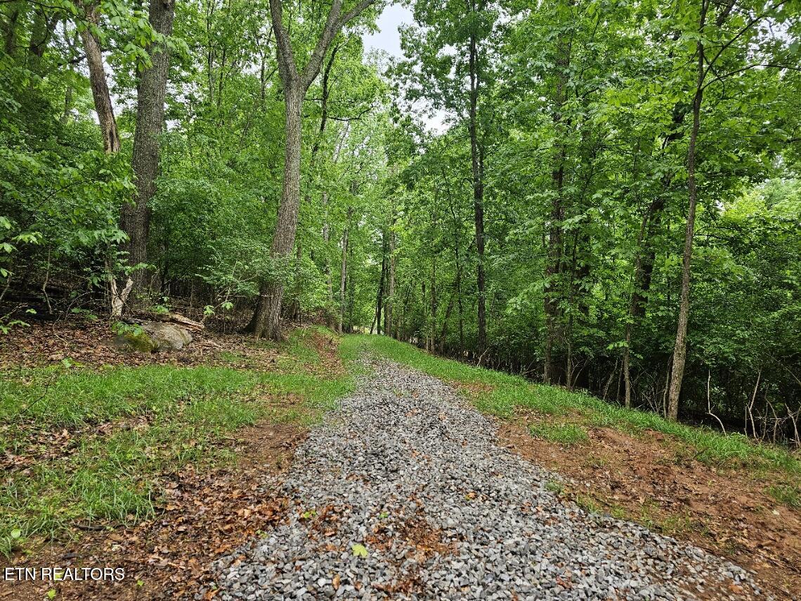 2050 Jones Bend Road Louisville TN 37777