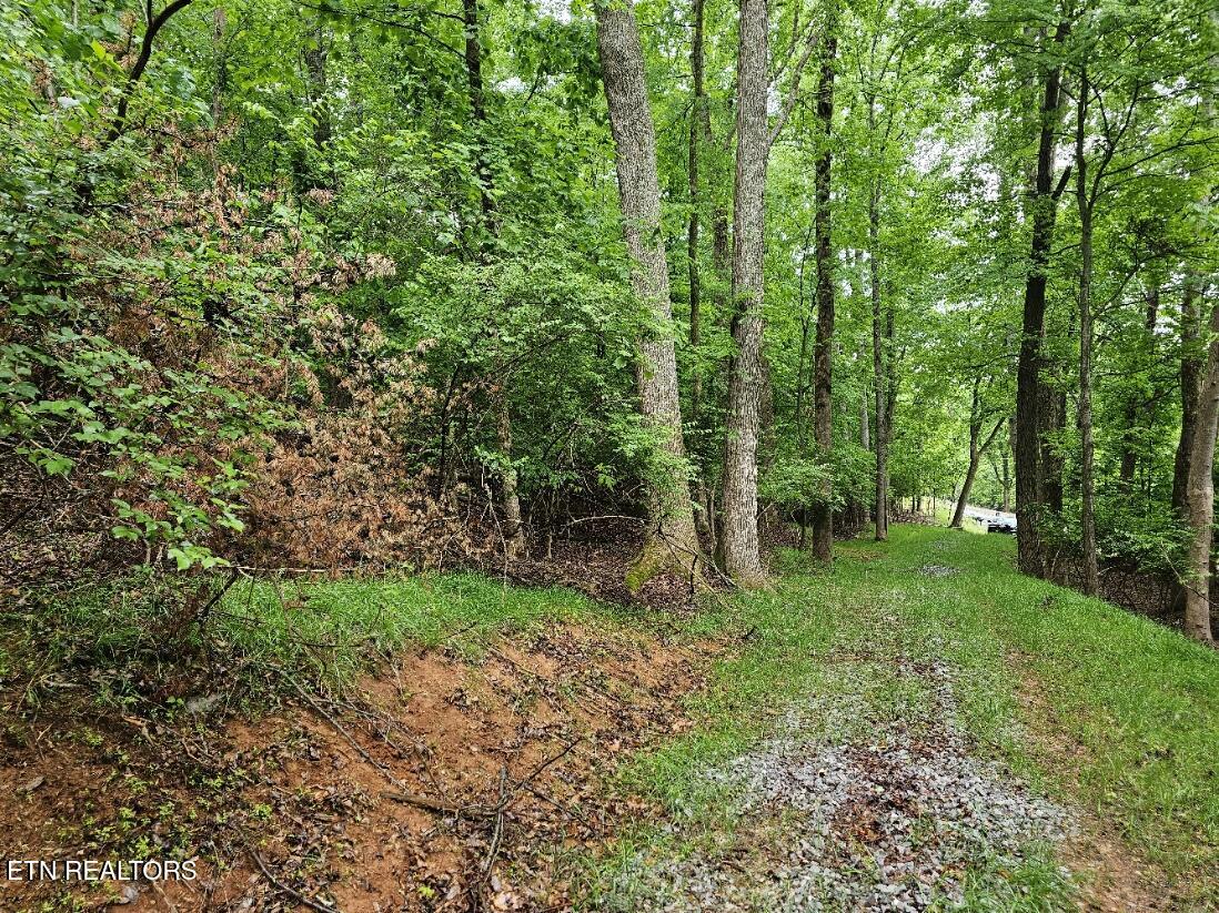 2050 Jones Bend Road Louisville TN 37777