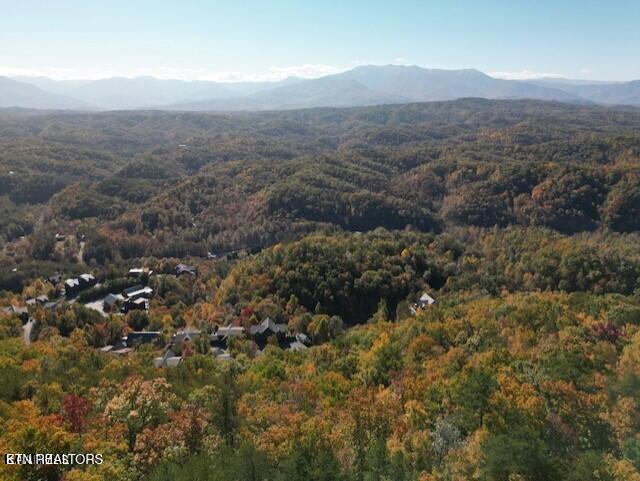Mountain Folks Way Sevierville TN 37876