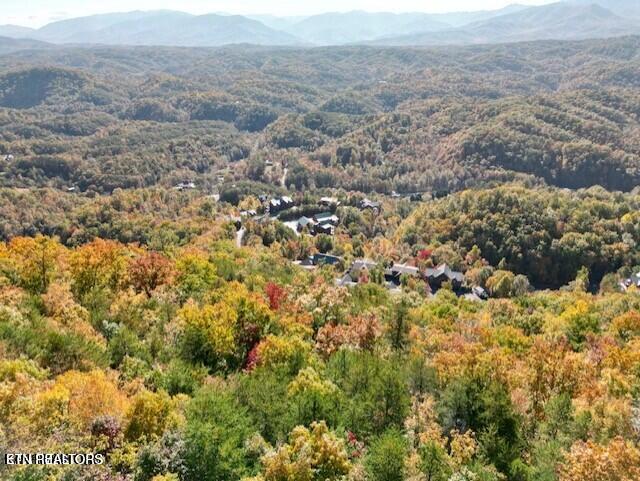 Mountain Folks Way Sevierville TN 37876