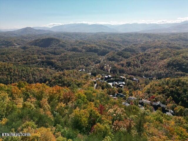 Mountain Folks Way Sevierville TN 37876