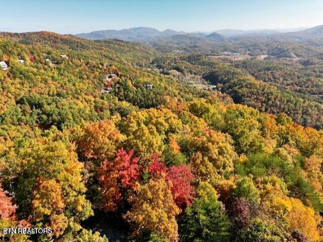 Mountain Folks Way Sevierville TN 37876