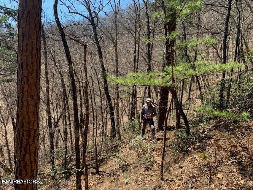 Mountain Folks Way Sevierville TN 37876