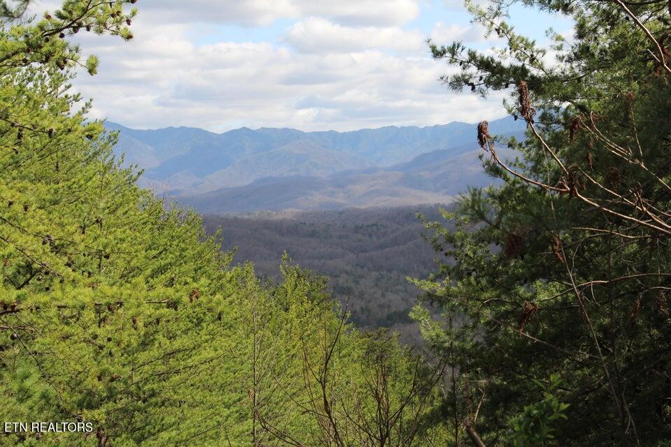 Mountain Folks Way Sevierville TN 37876