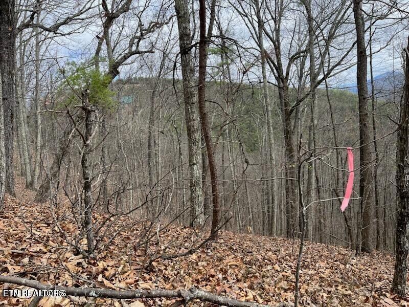 Mountain Folks Way Sevierville TN 37876