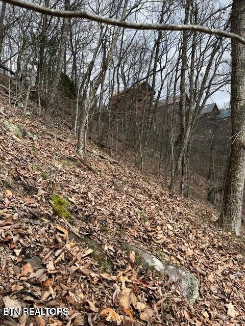 Mountain Folks Way Sevierville TN 37876