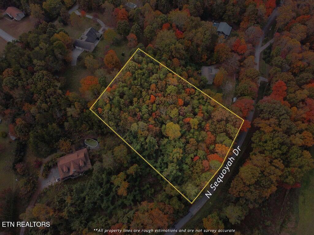 N Sequoyah Drive Friendsville TN 37737