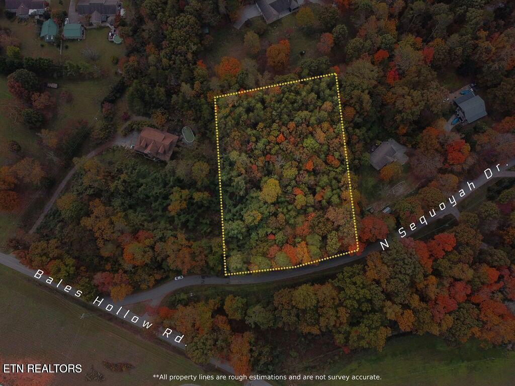 N Sequoyah Drive Friendsville TN 37737